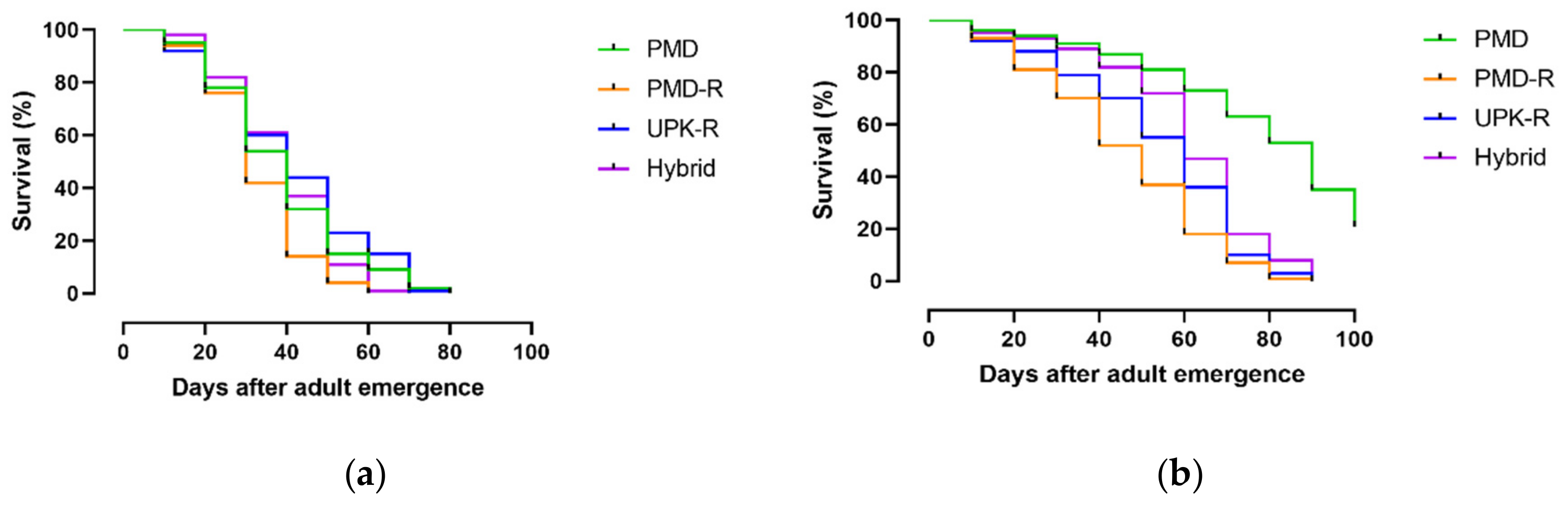 Insects 10 00265 g003 Insects 10 00265 g003
