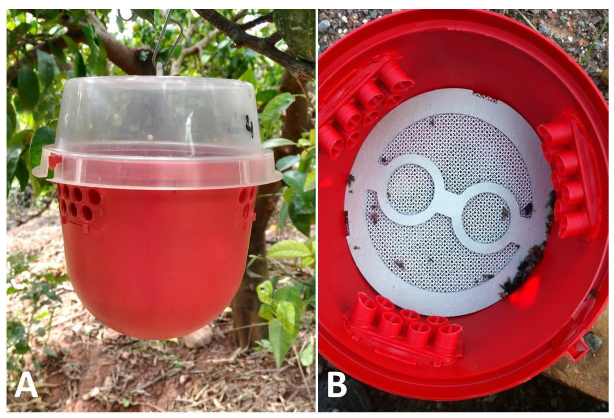 Insects 10 00268 g002 Insects 10 00268 g002