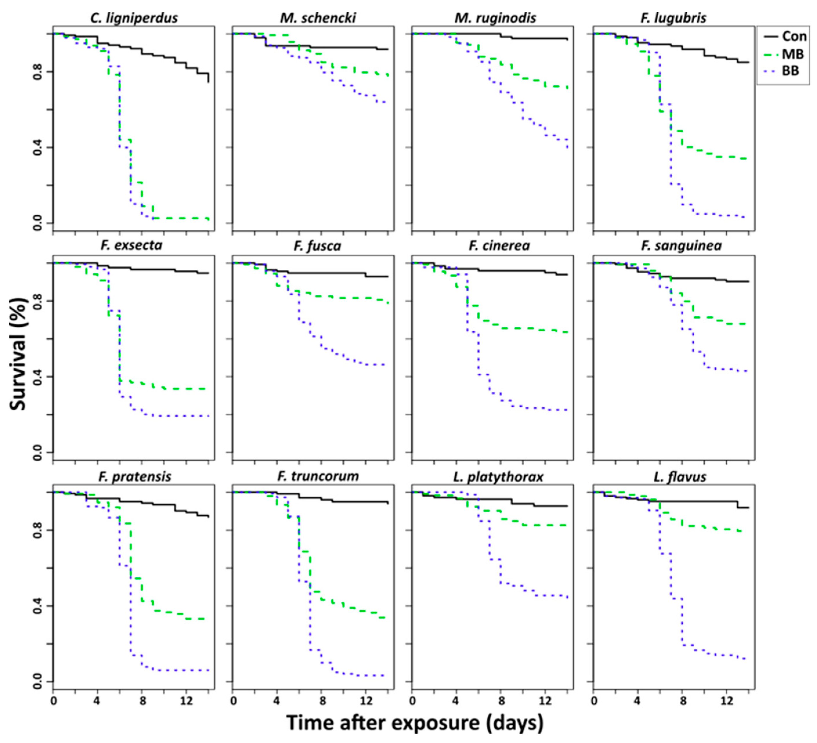 Insects 10 00271 g001
