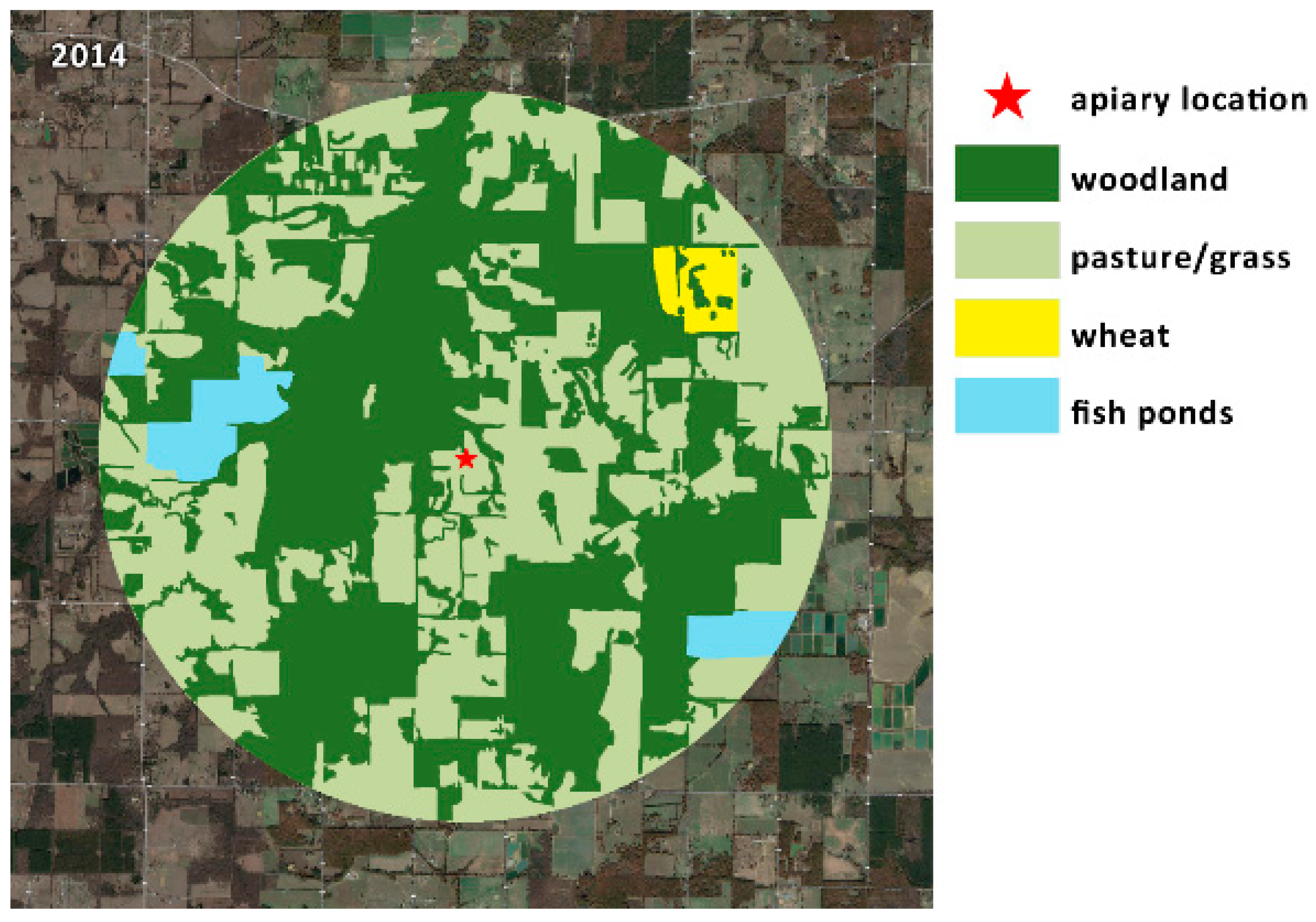 Insects 10 00280 g004