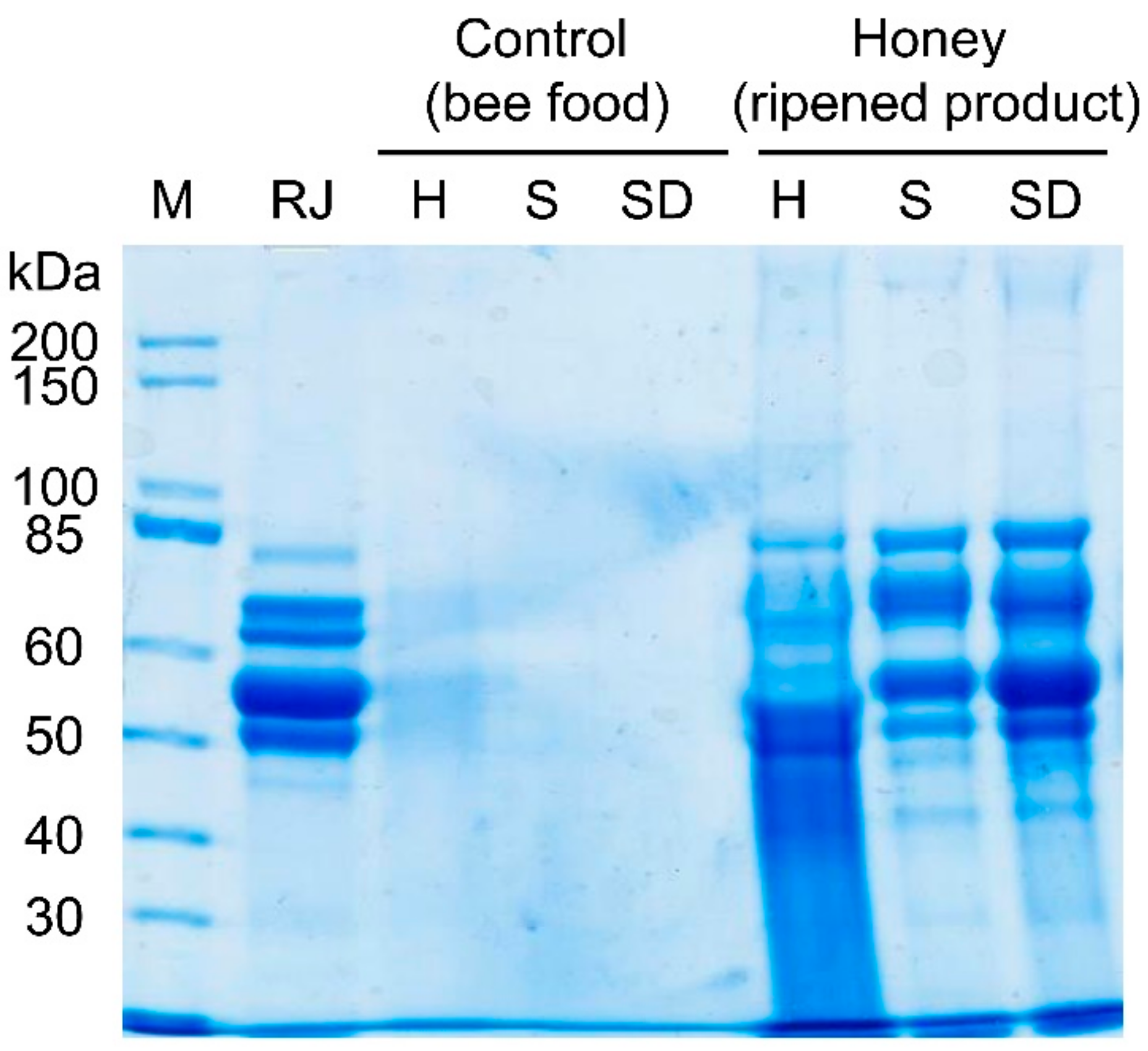 Insects 10 00282 g001