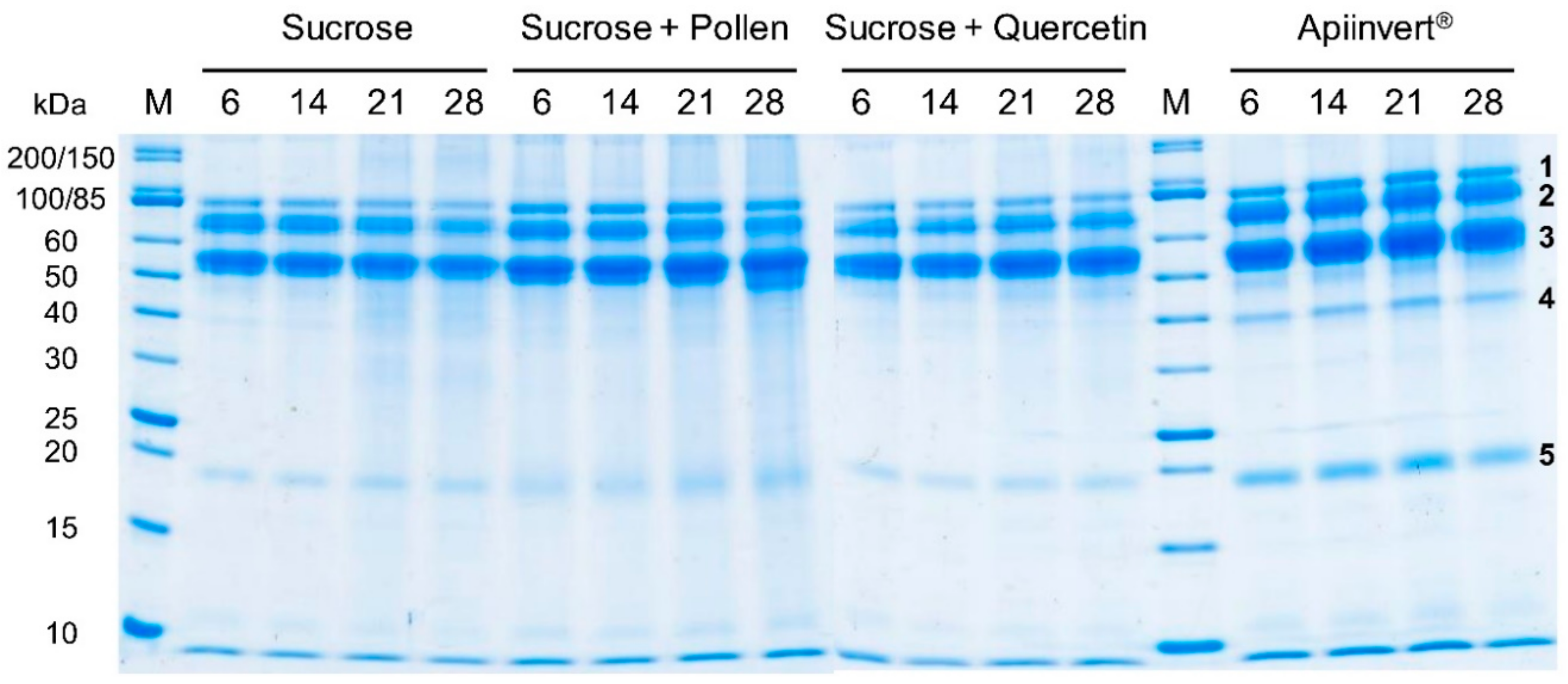 Insects 10 00282 g002