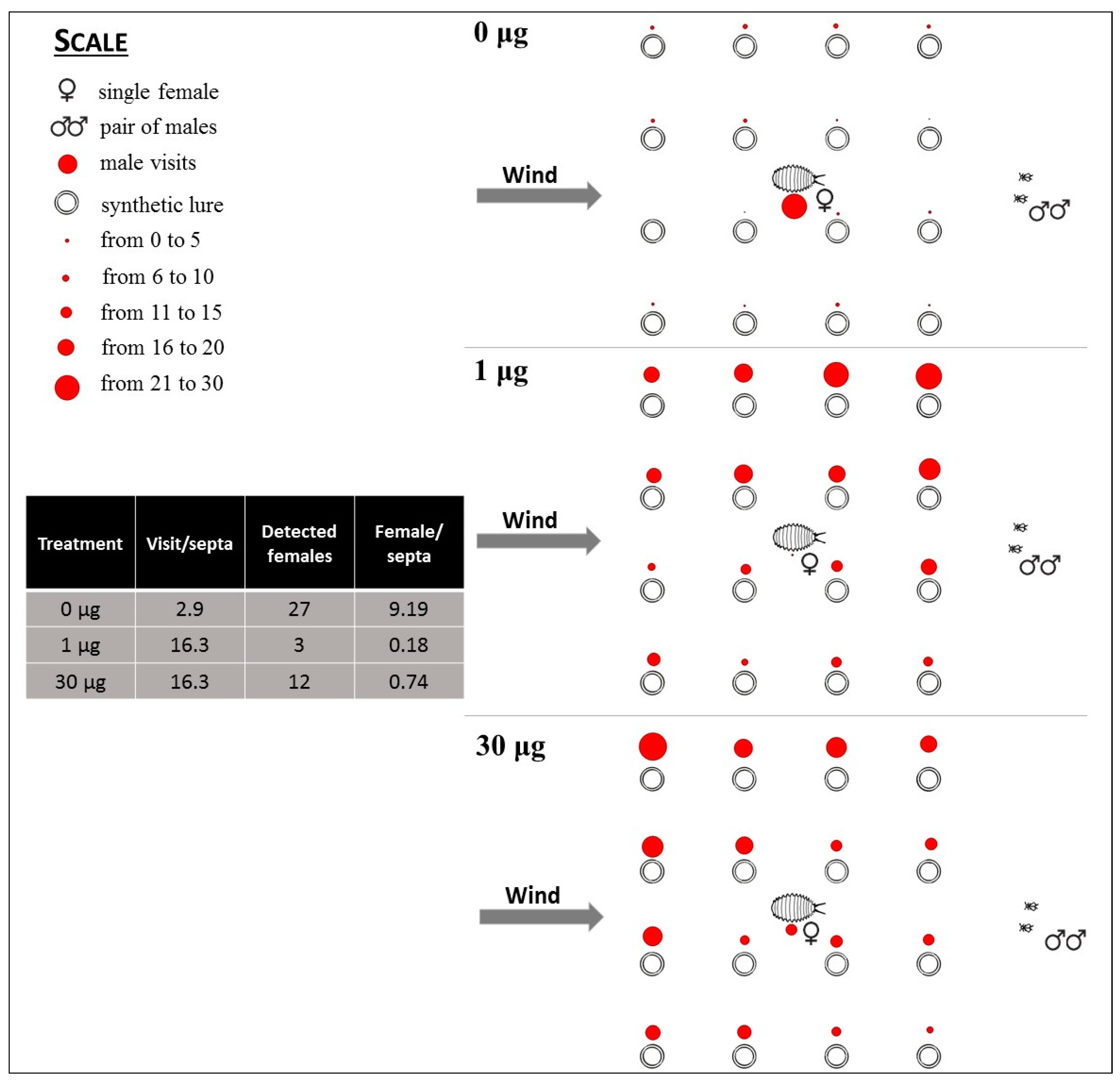 Insects 10 00285 g005