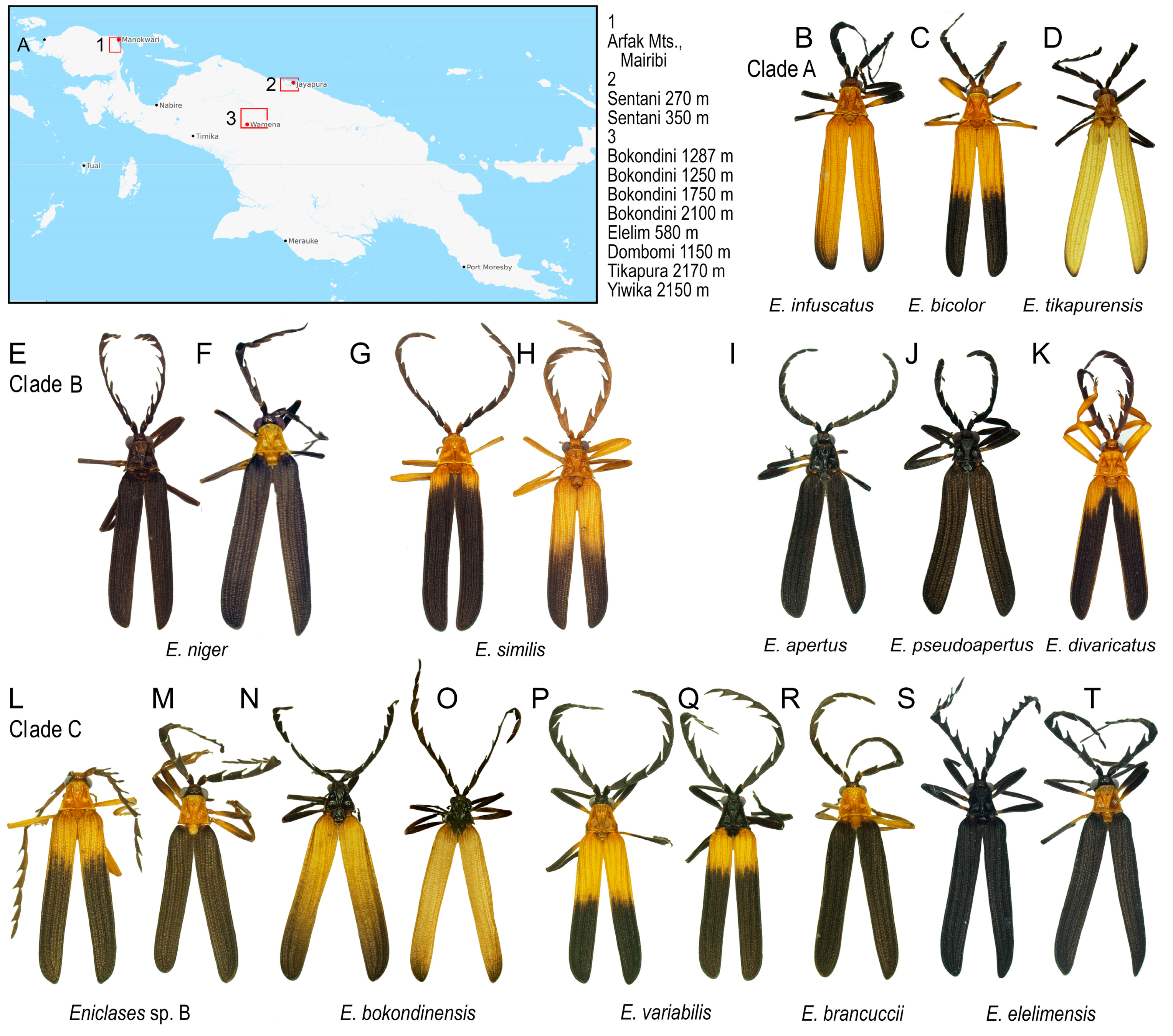 Insects 10 00295 g002