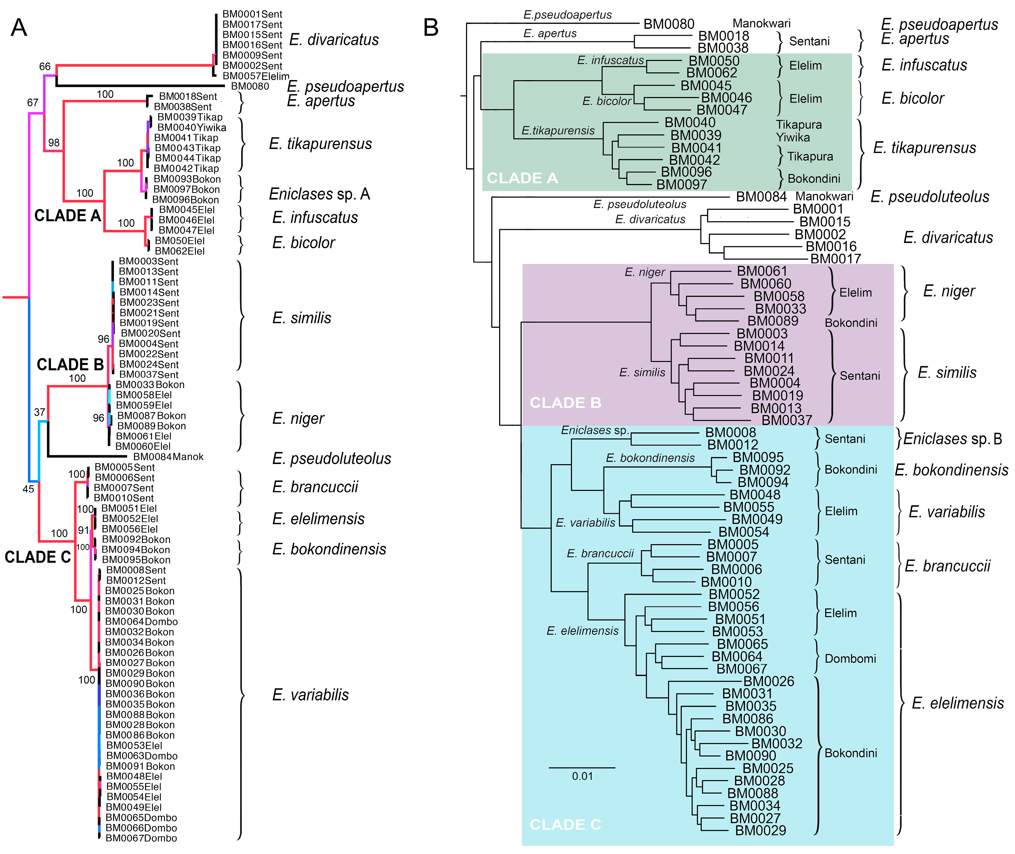 Insects 10 00295 g003