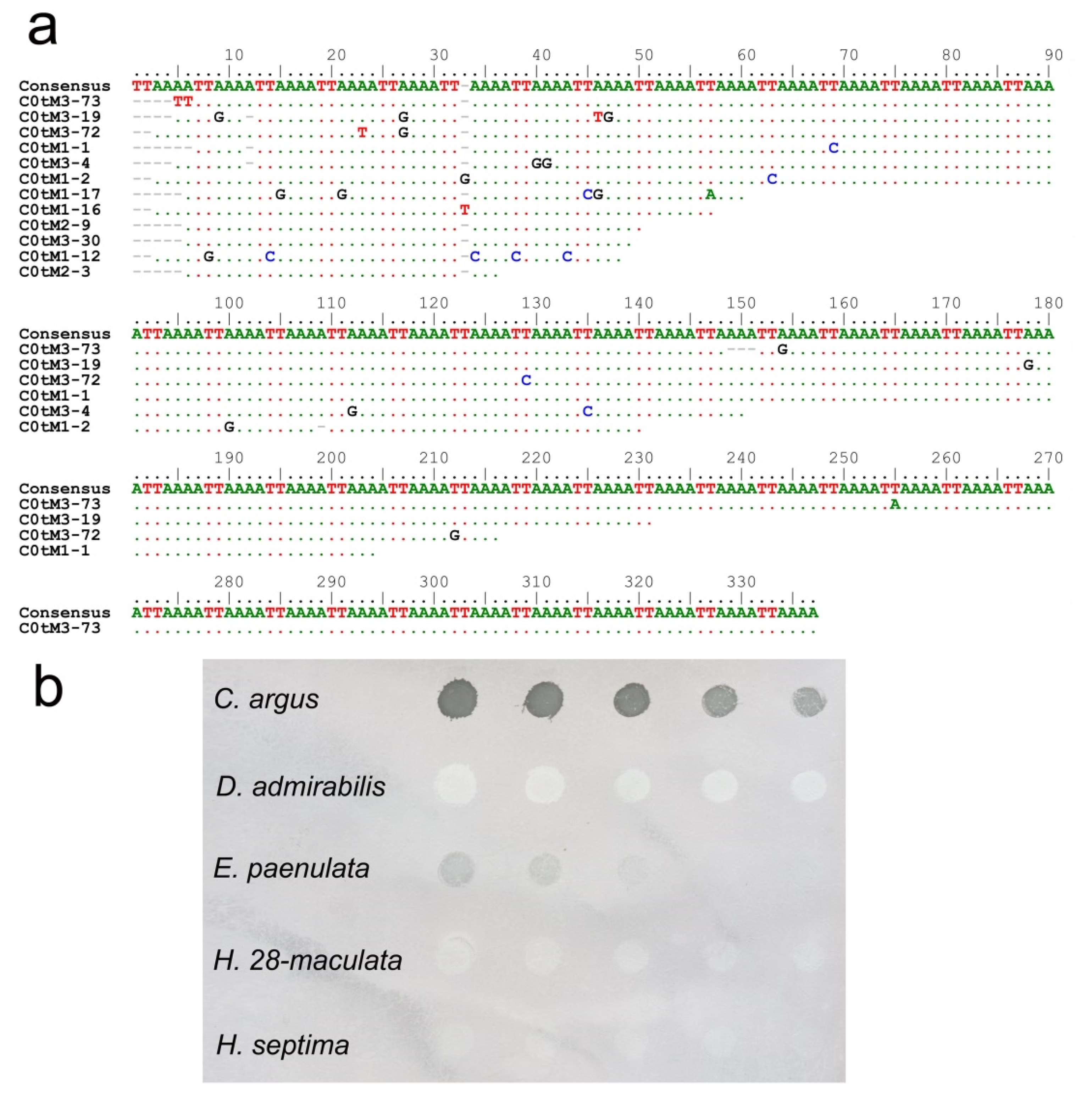 Insects 10 00306 g001