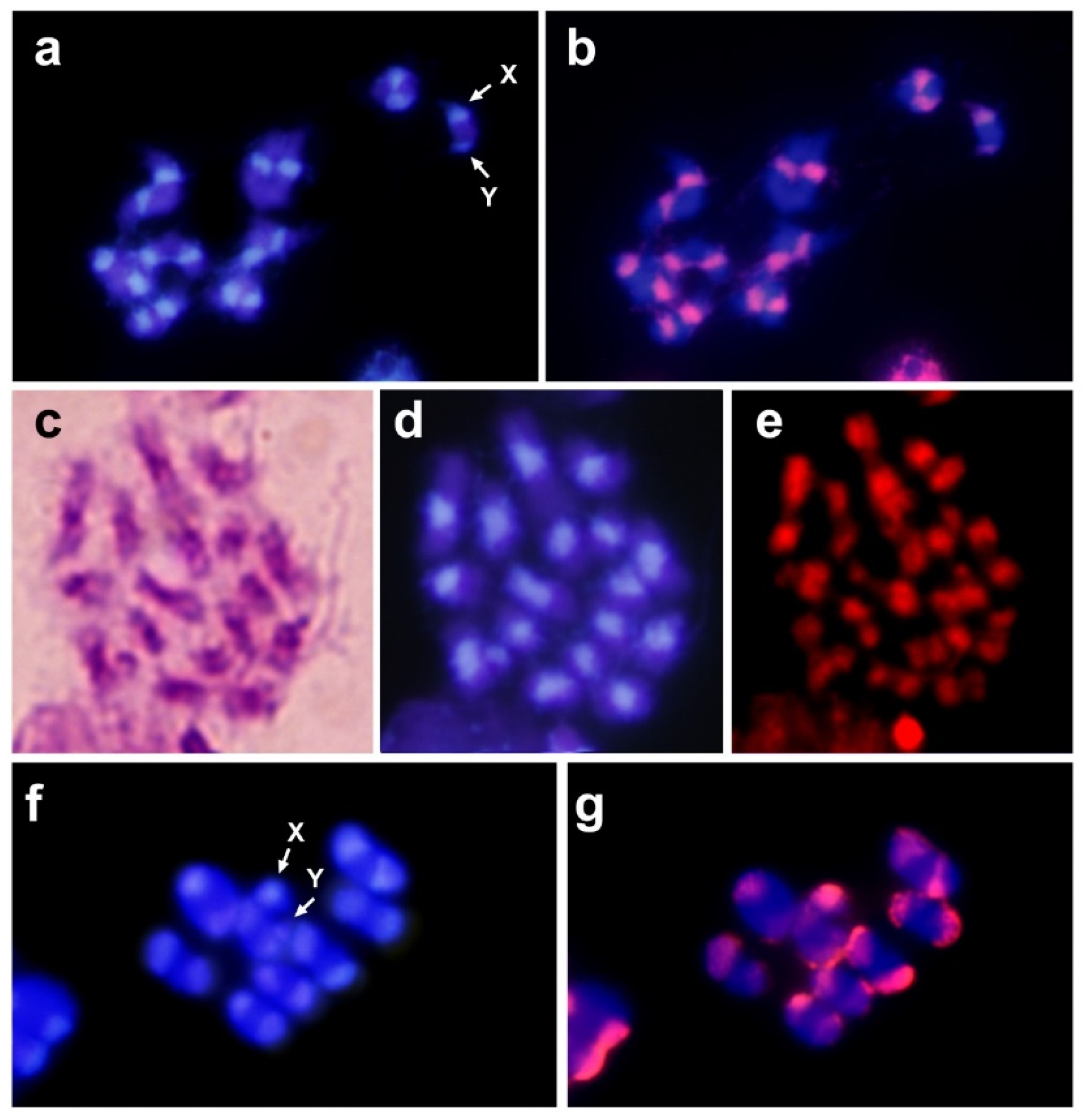 Insects 10 00306 g002