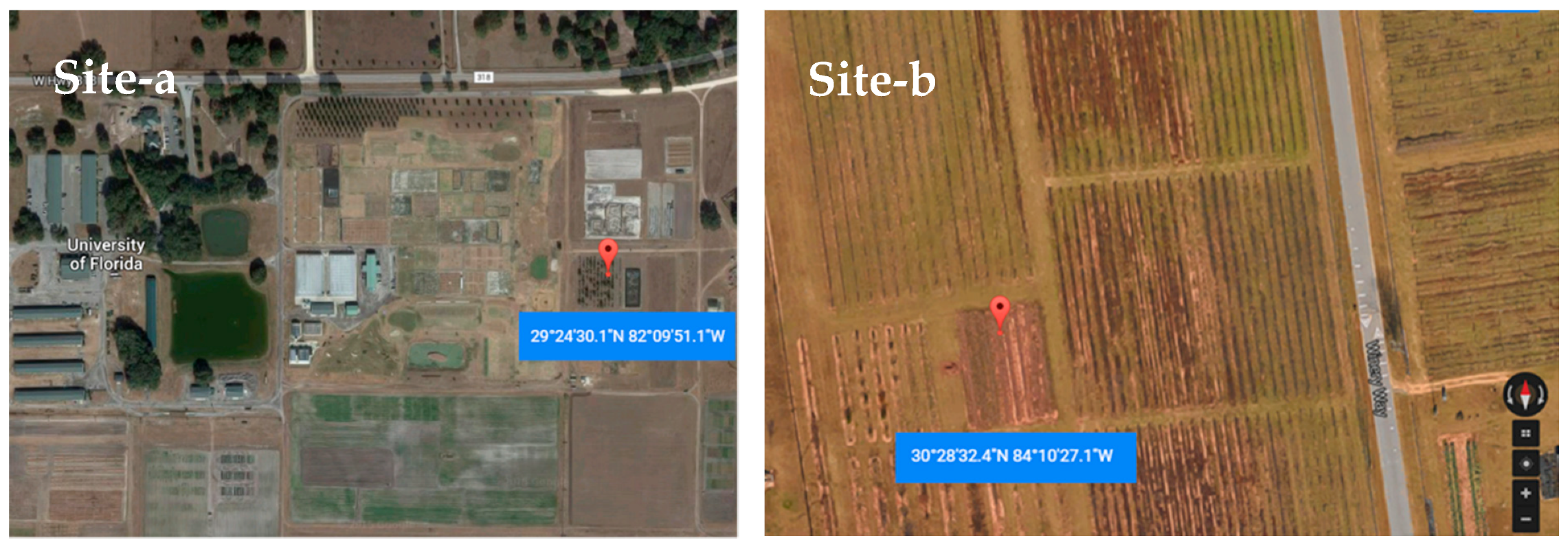 Insects 10 00313 g001