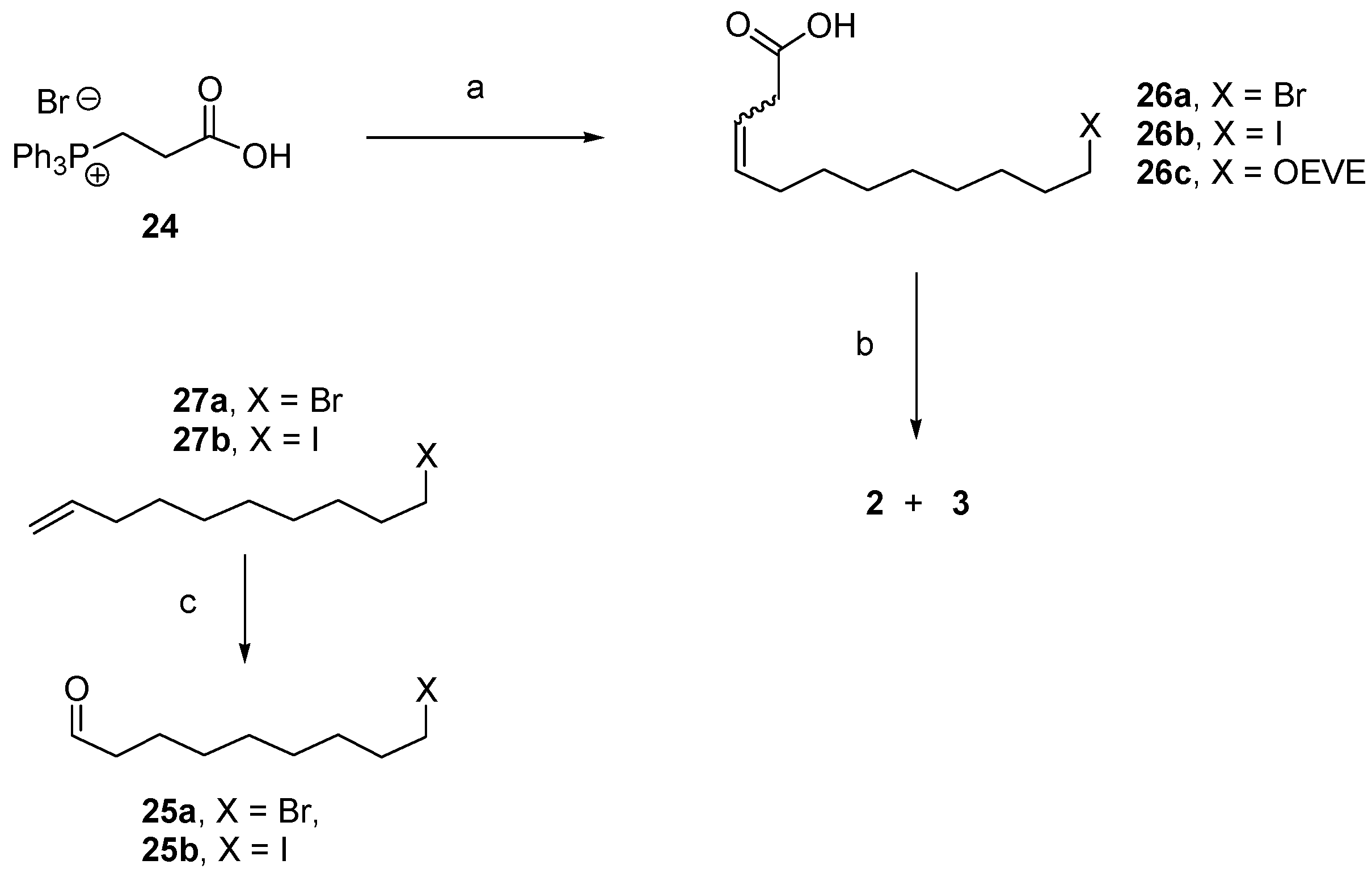 Insects 10 00323 sch003 Insects 10 00323 sch003