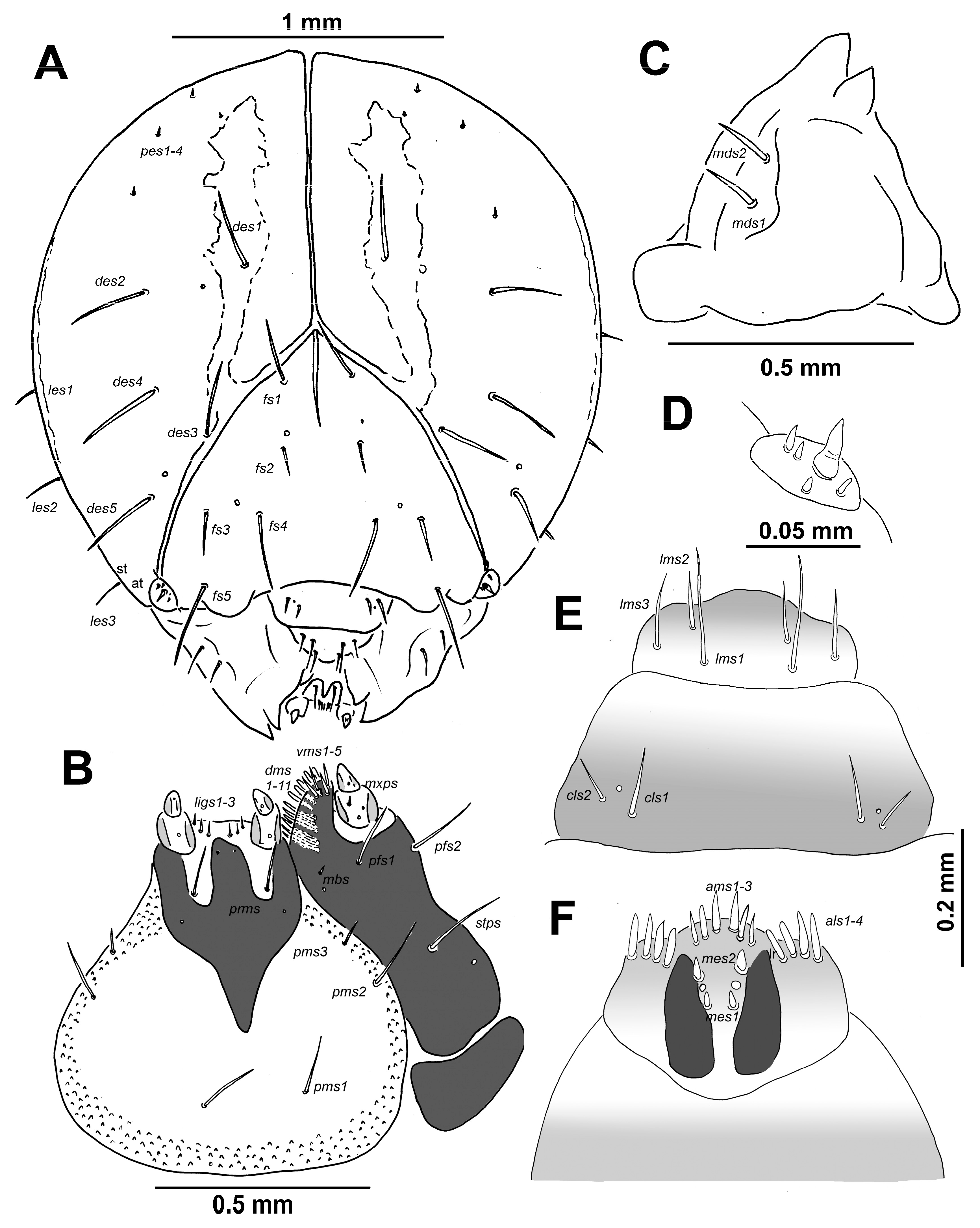 Insects 10 00325 g002