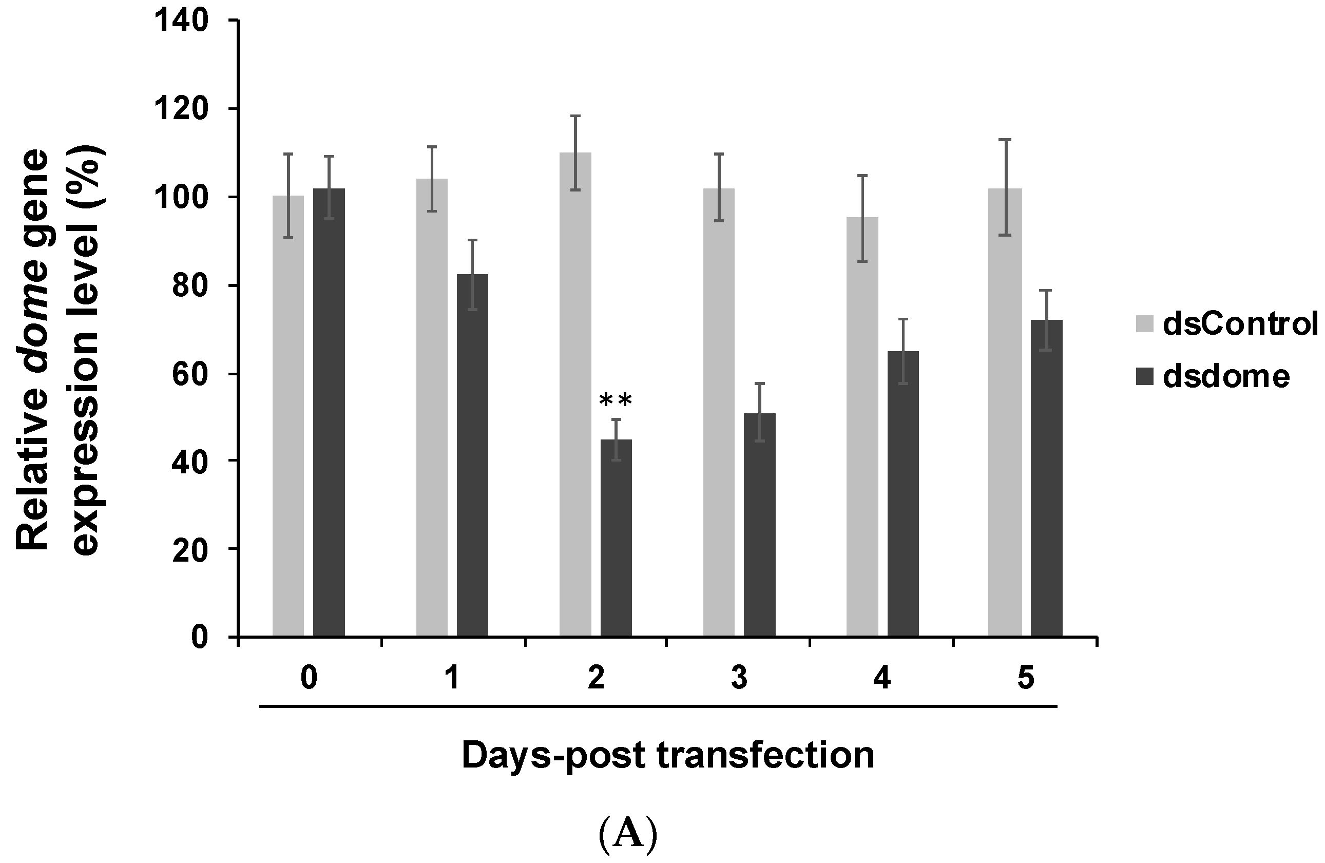 Insects 10 00339 g001a