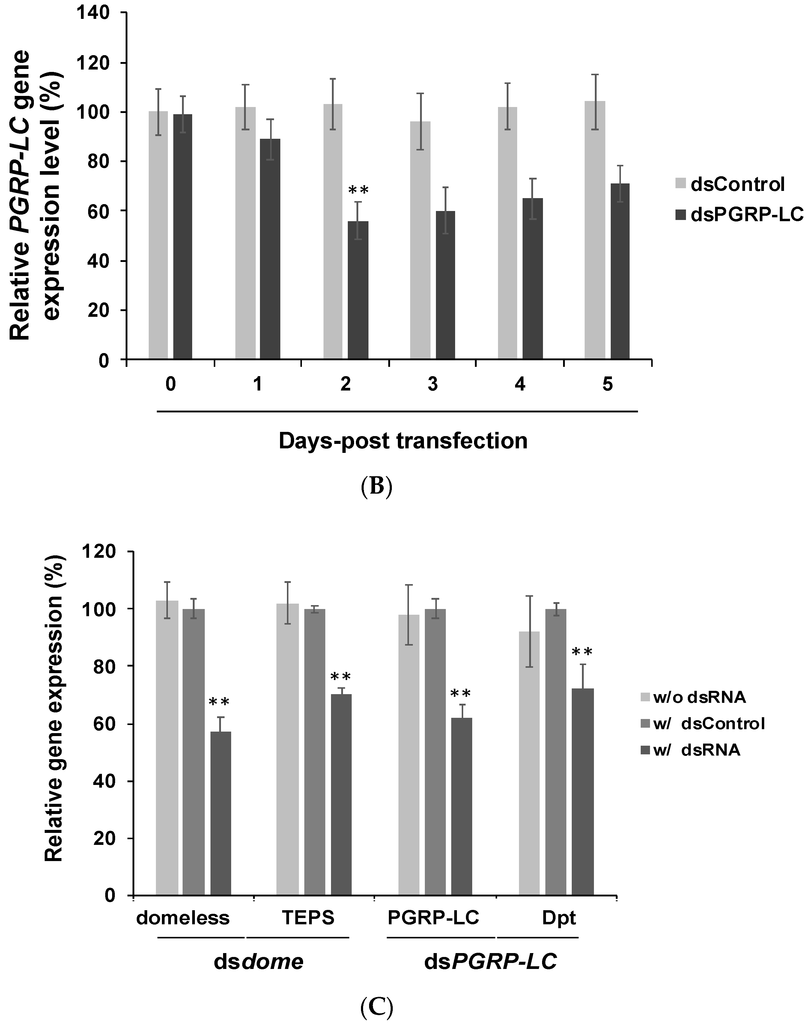 Insects 10 00339 g001b