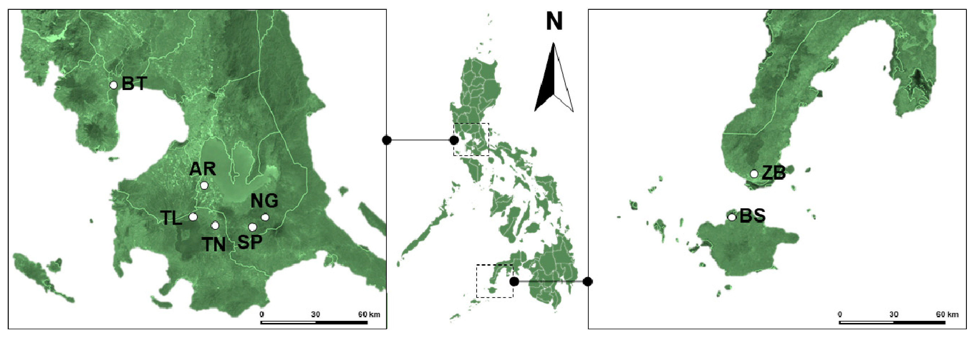 Insects 10 00374 g001 Insects 10 00374 g001