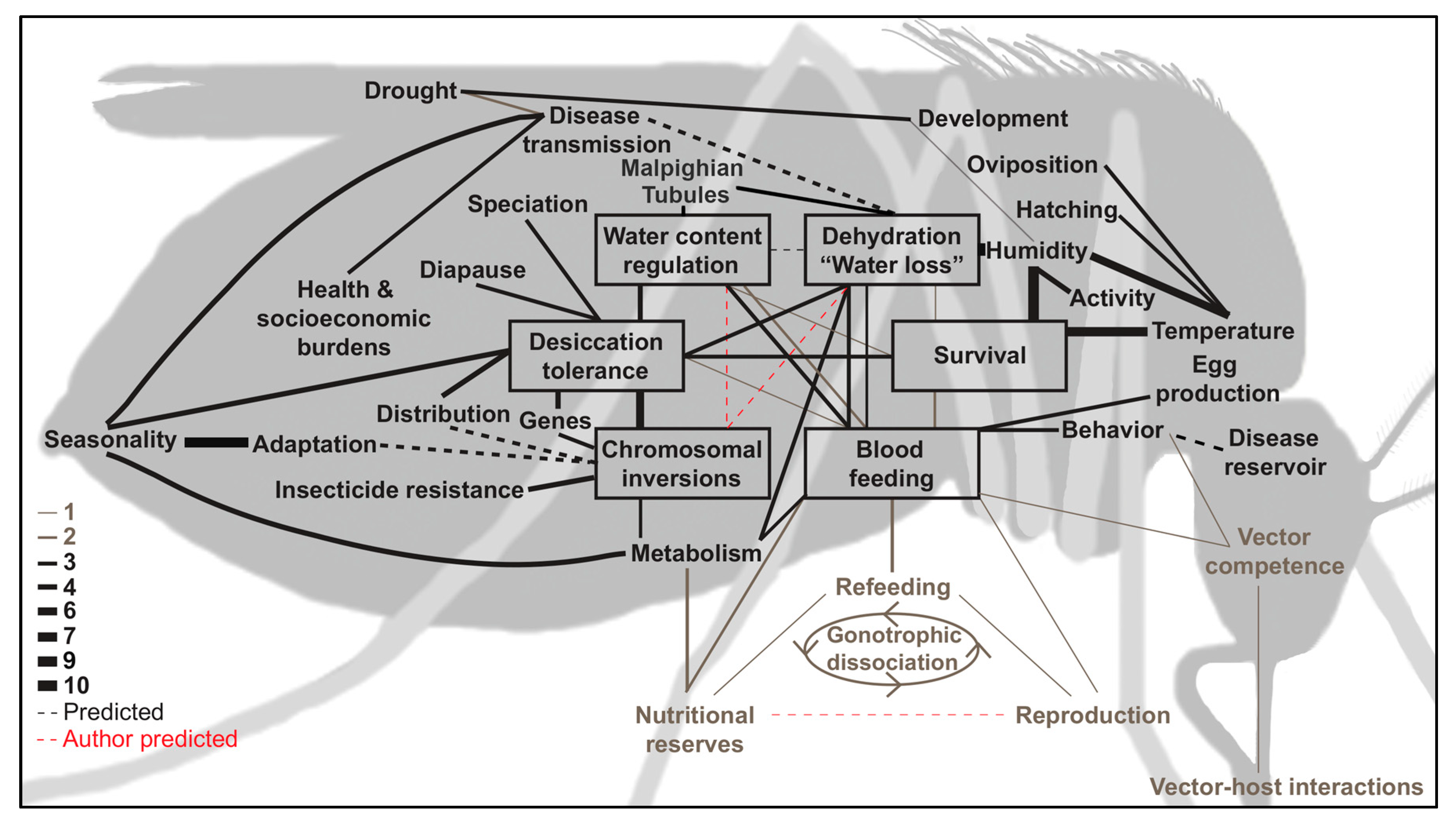 Insects 10 00375 g001