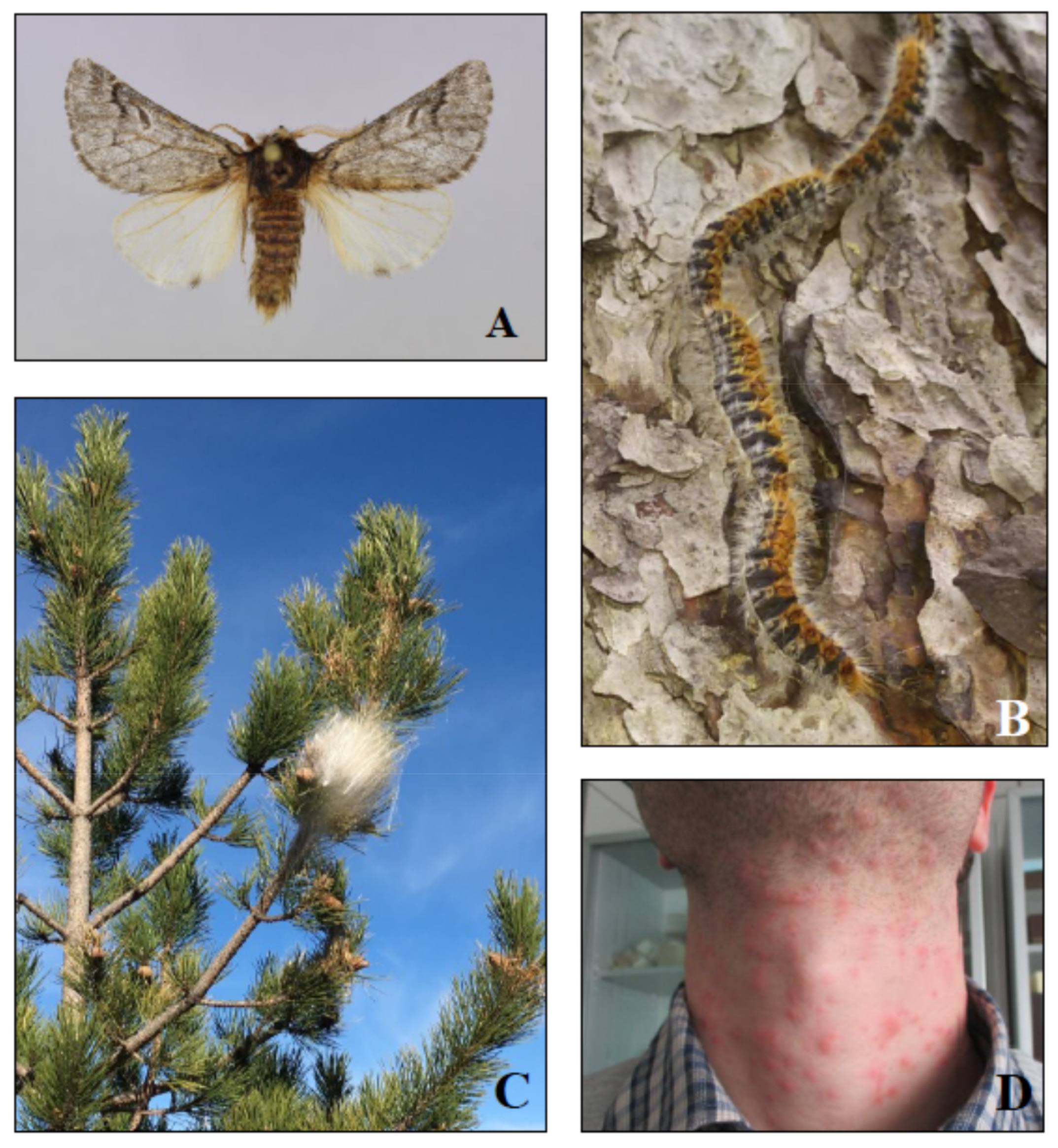 Insects 10 00395 g001 Insects 10 00395 g001