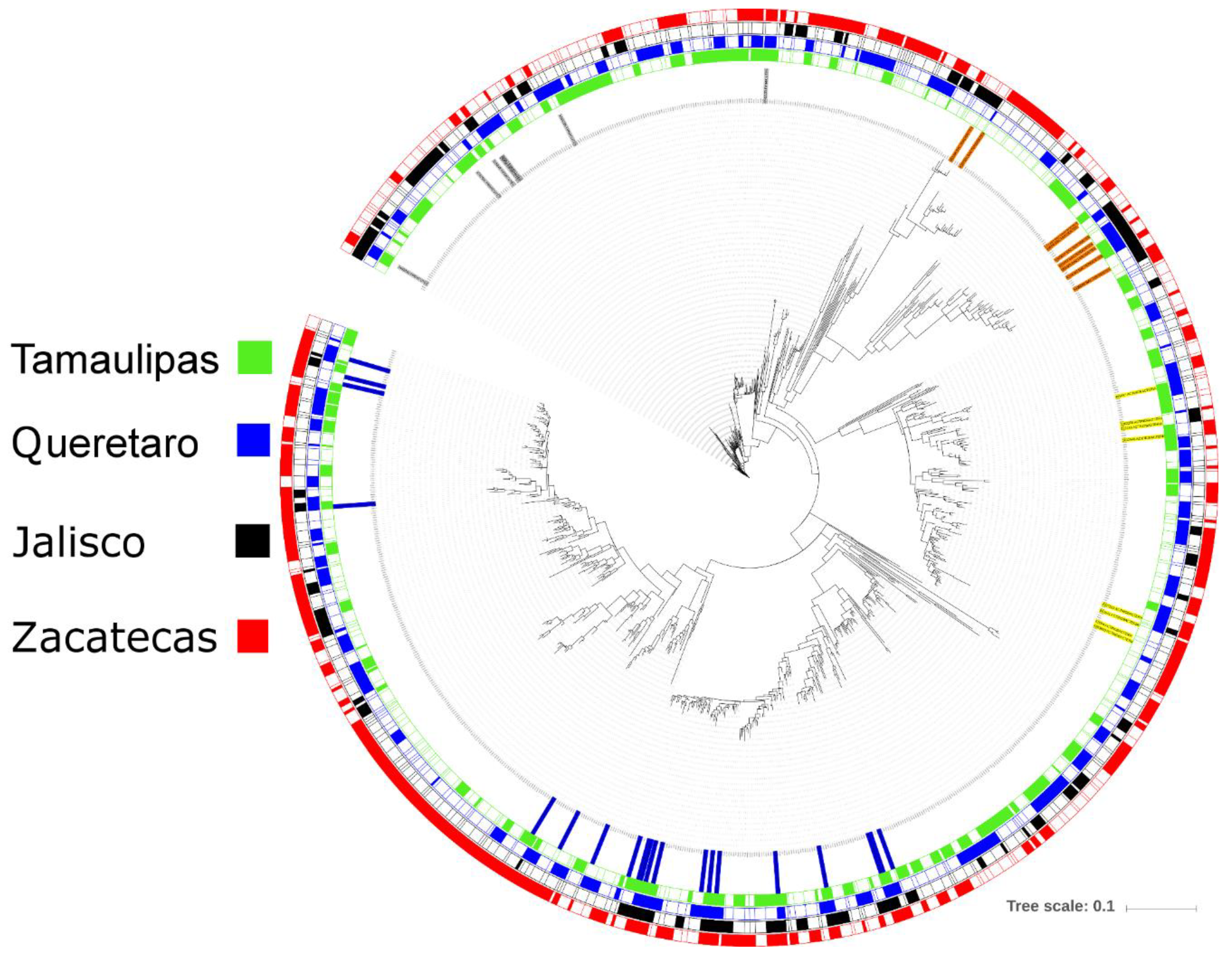 Insects 10 00402 g002