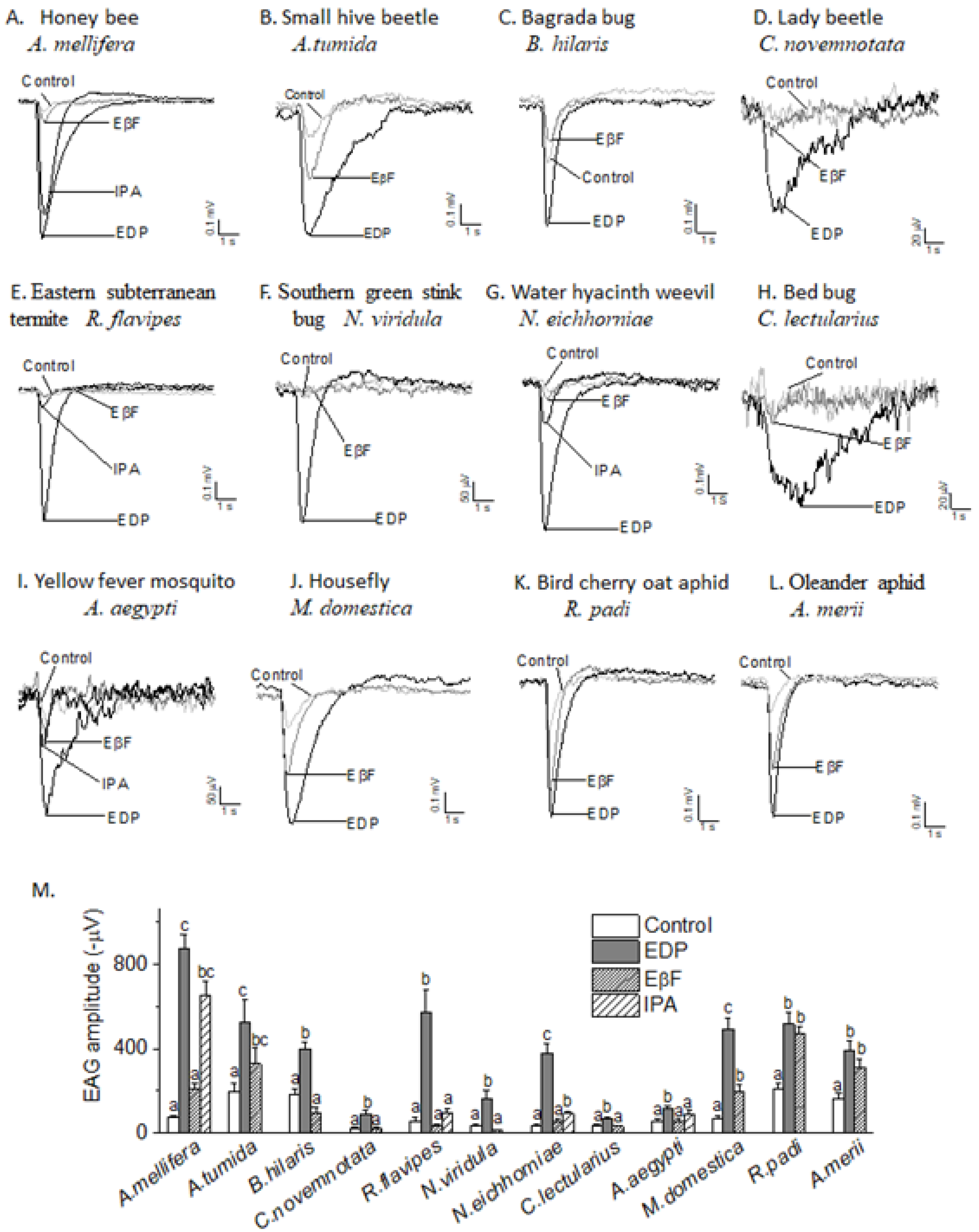 Insects 10 00403 g004