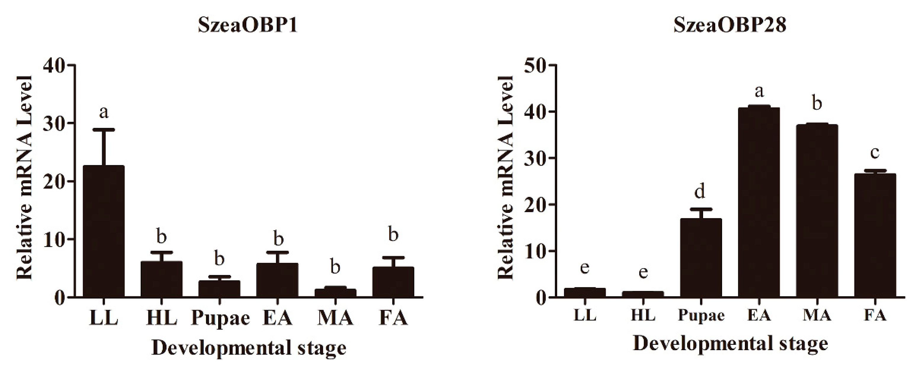 Insects 10 00409 g001