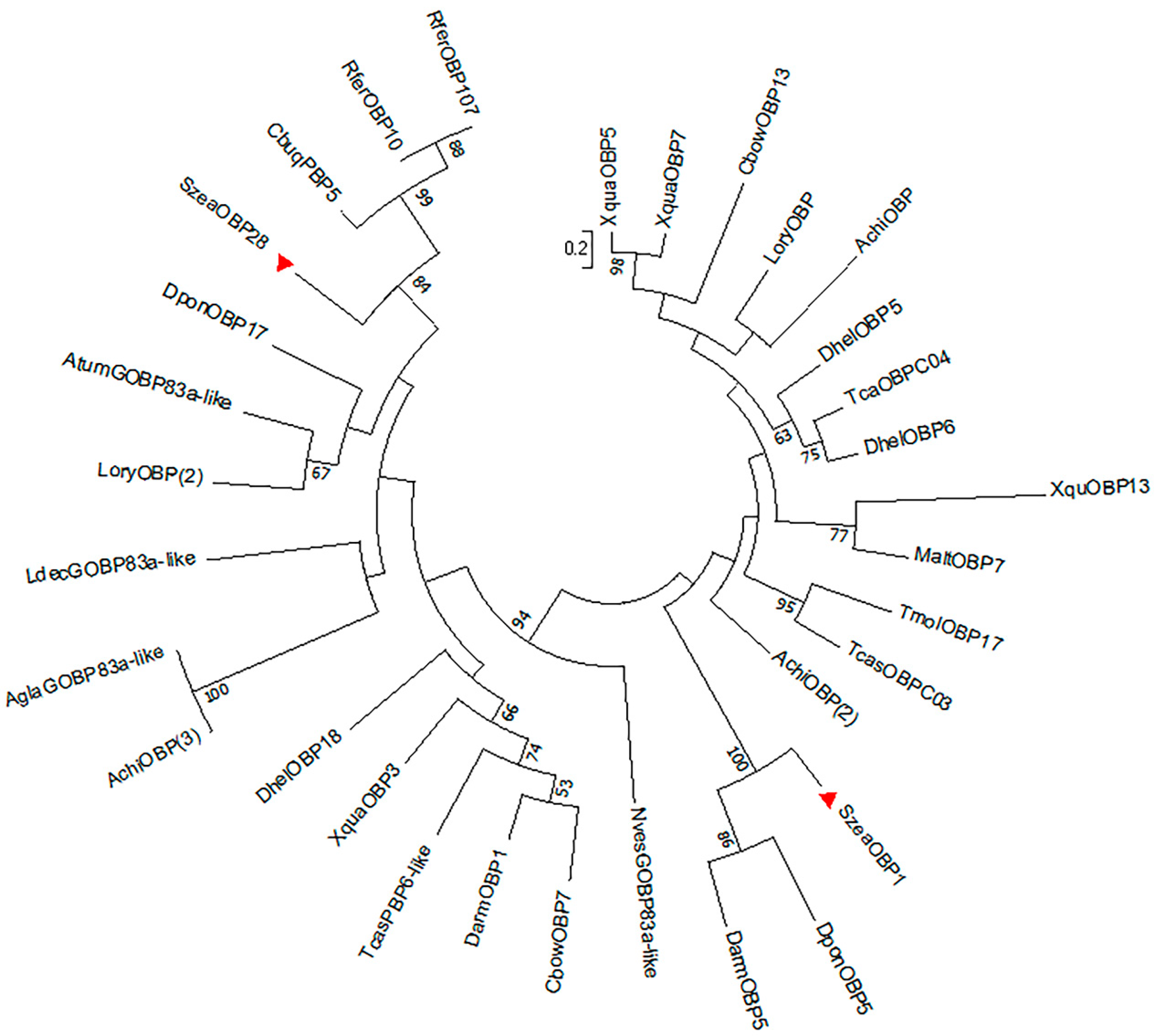 Insects 10 00409 g003