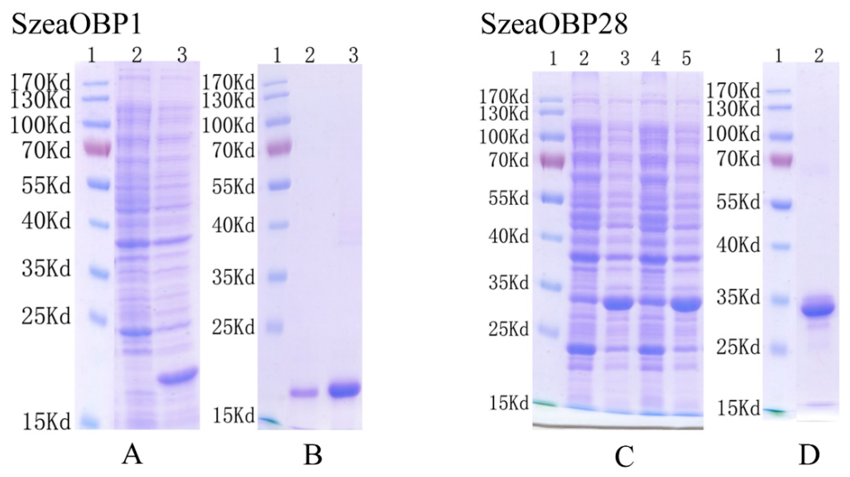 Insects 10 00409 g004