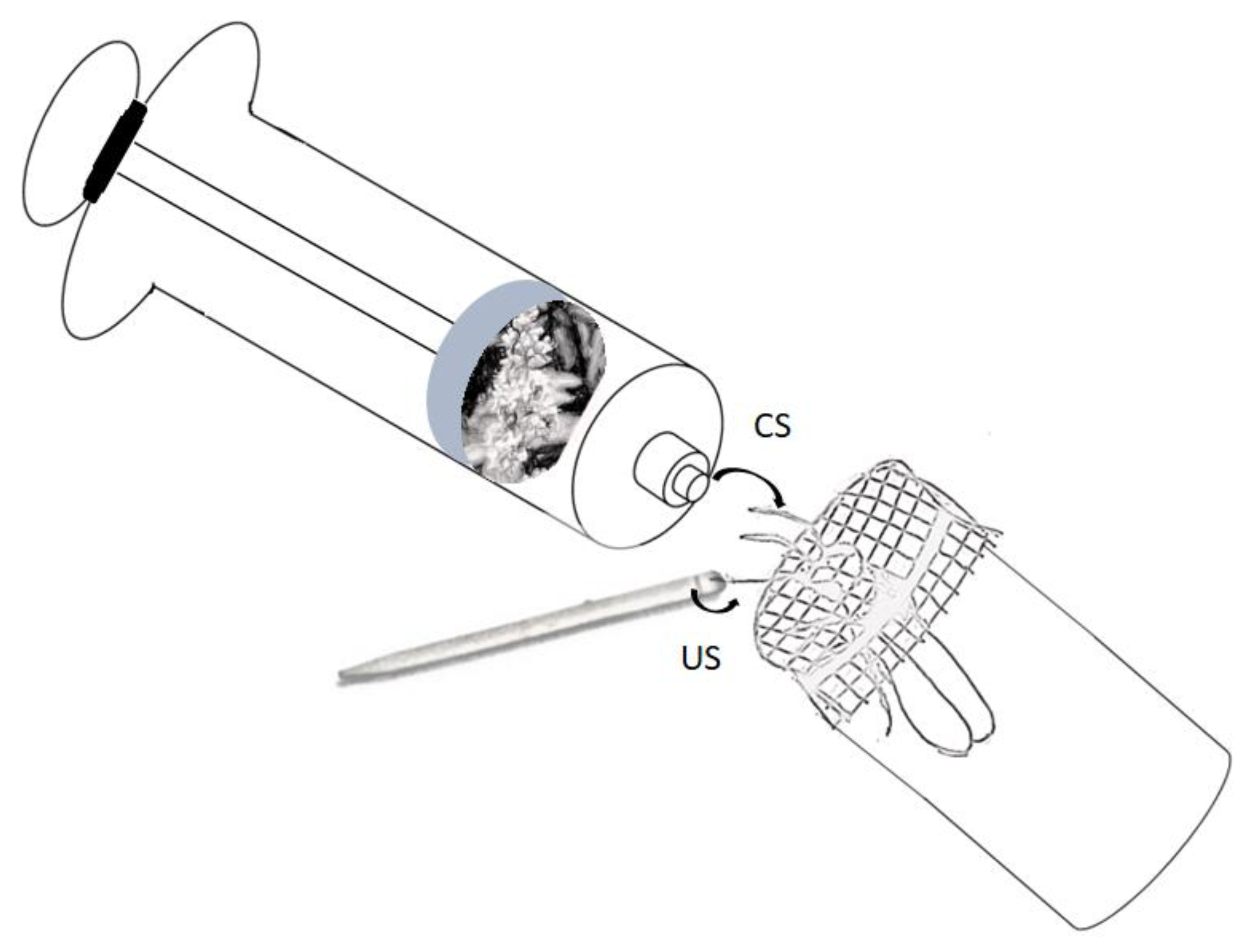 Insects 10 00412 g001 Insects 10 00412 g001