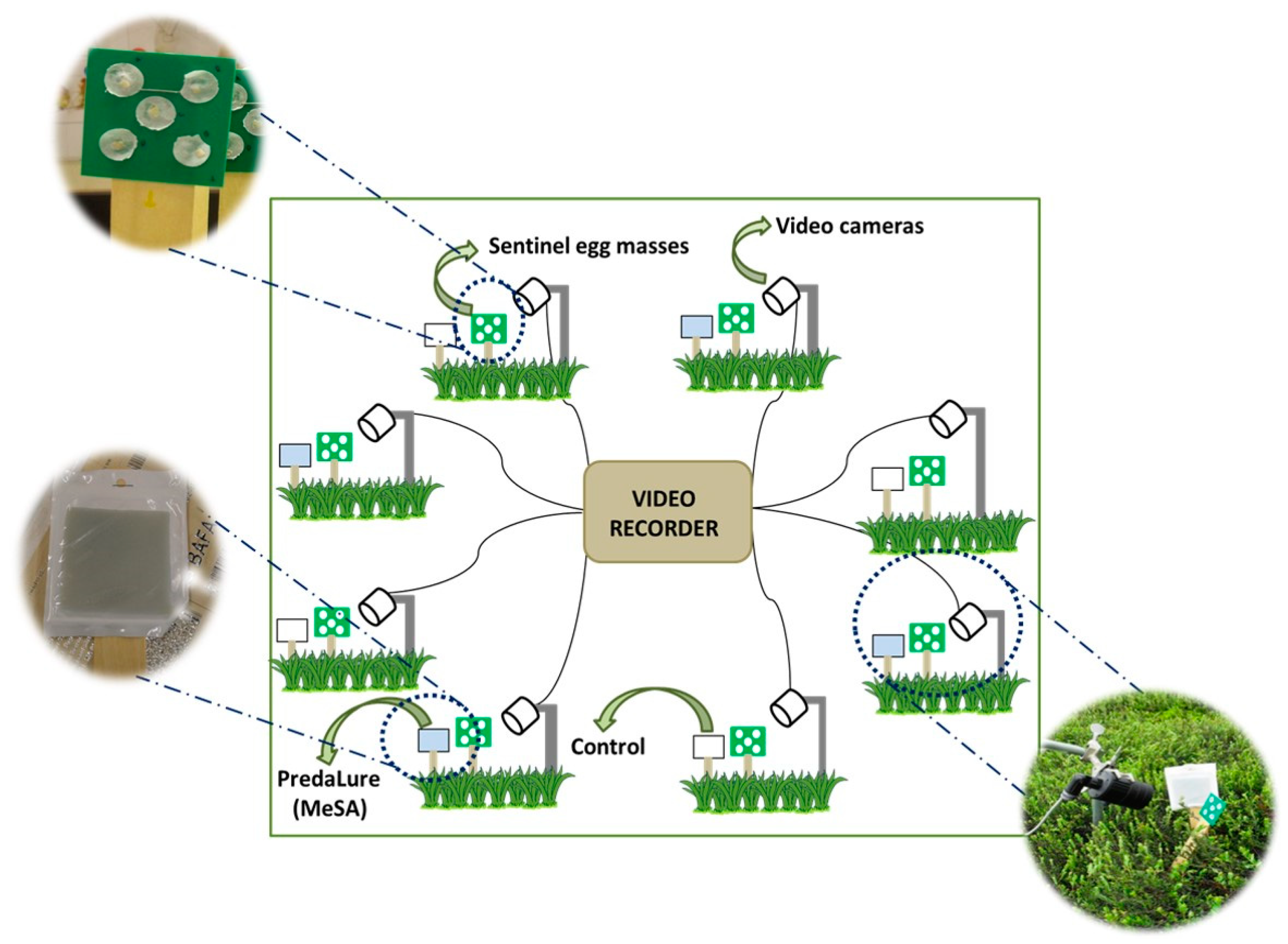 Insects 10 00423 g001 Insects 10 00423 g001