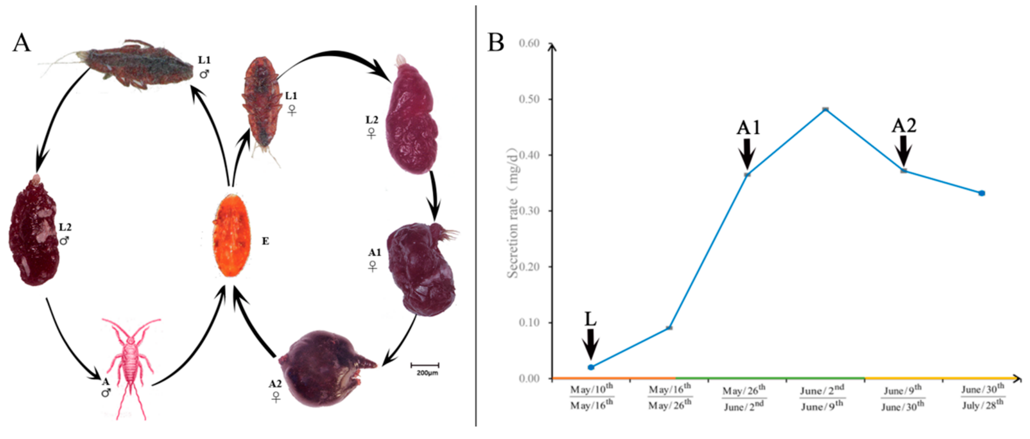 Insects 10 00430 g001 Insects 10 00430 g001