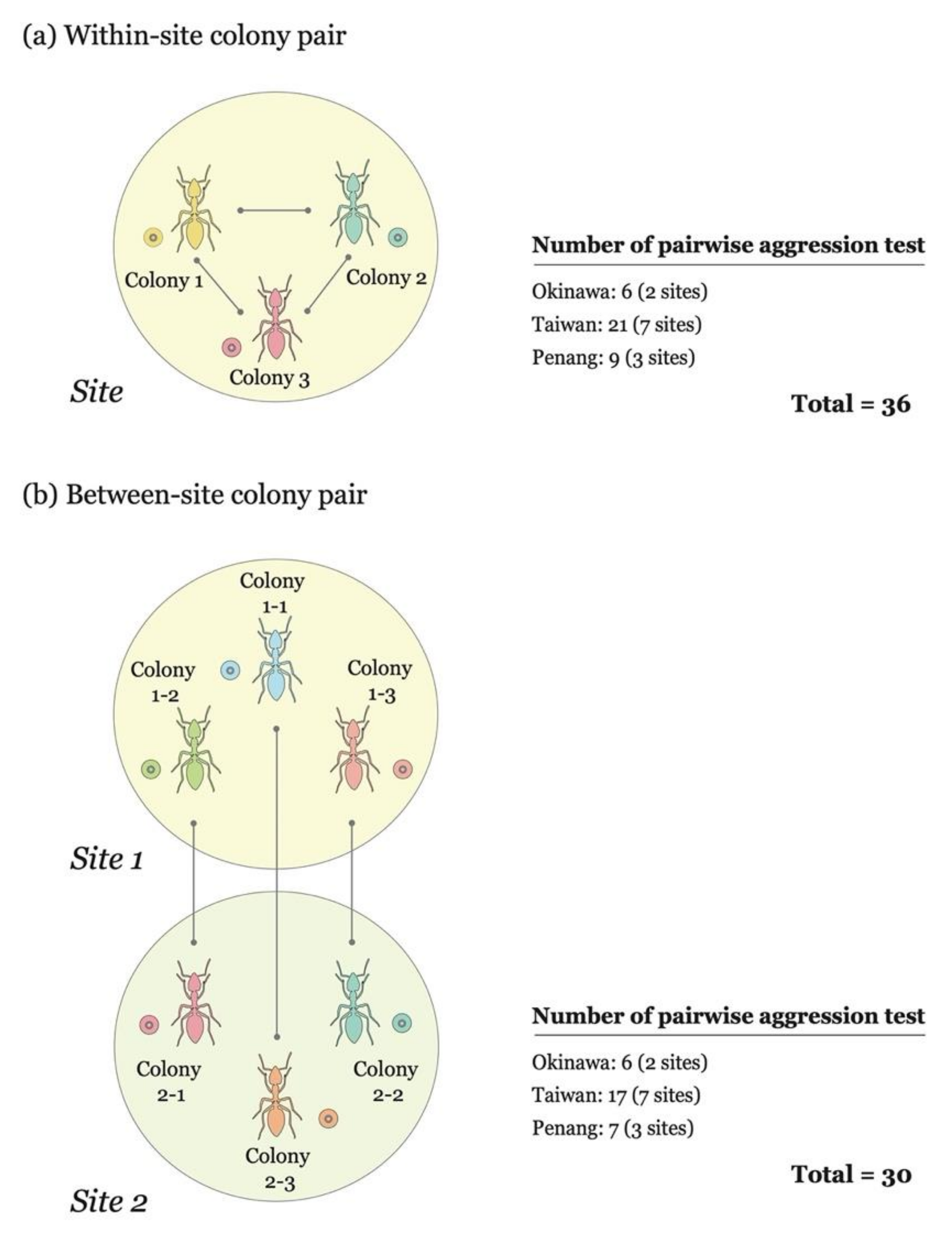 Insects 10 00436 g002
