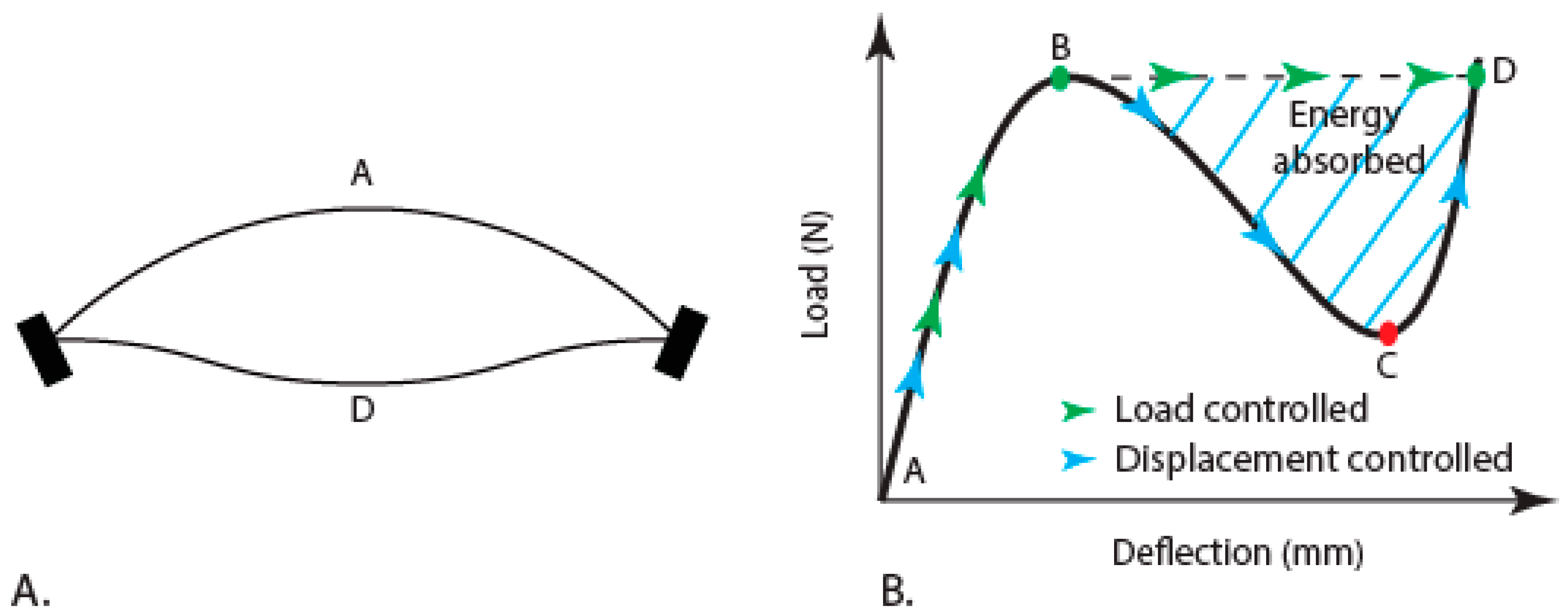 Insects 10 00438 g001