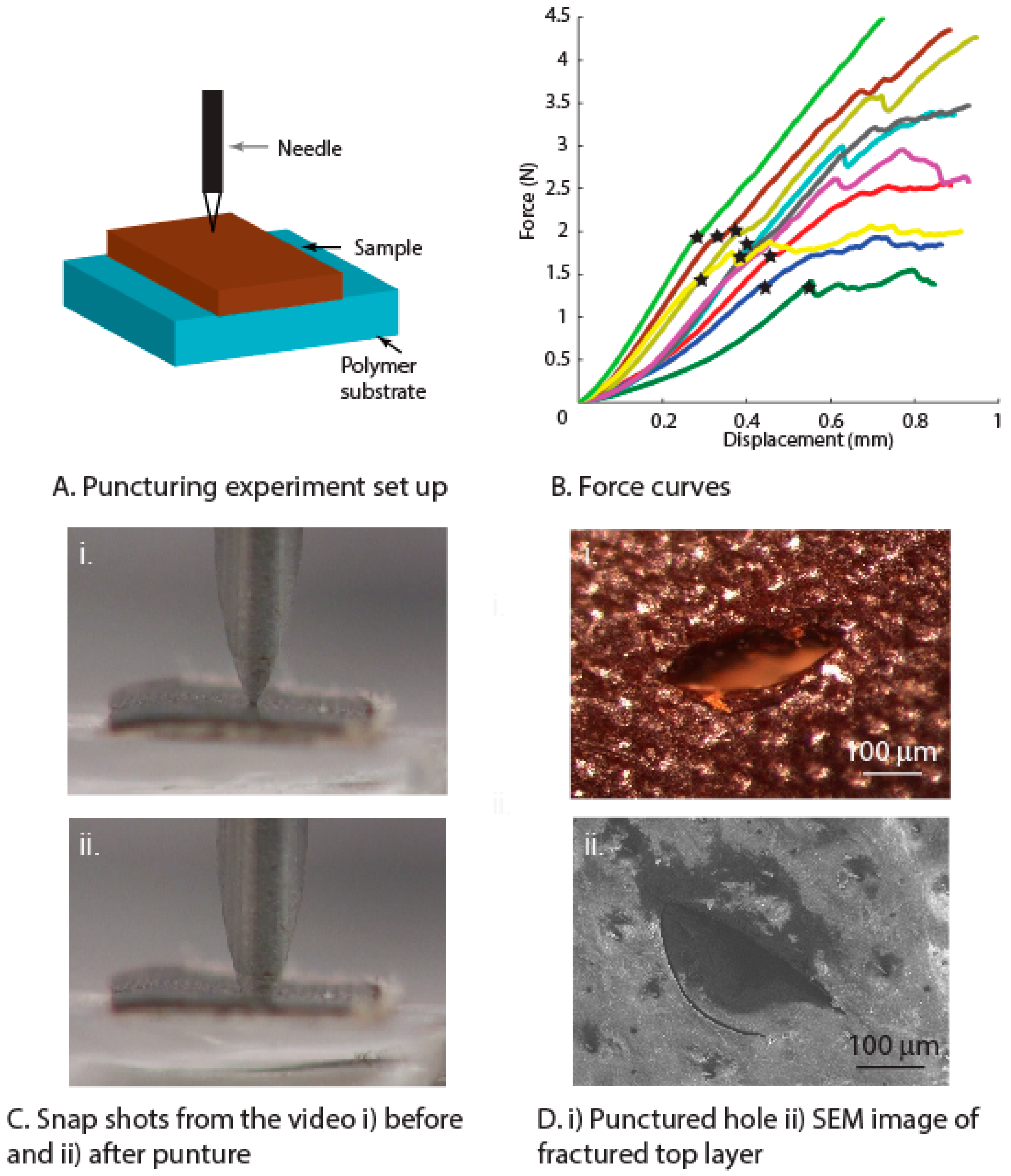 Insects 10 00438 g008