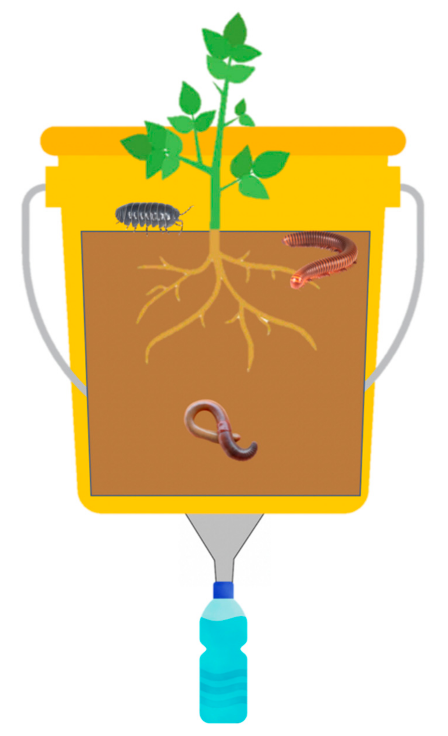 Insects 10 00453 g0a1 Insects 10 00453 g0a1