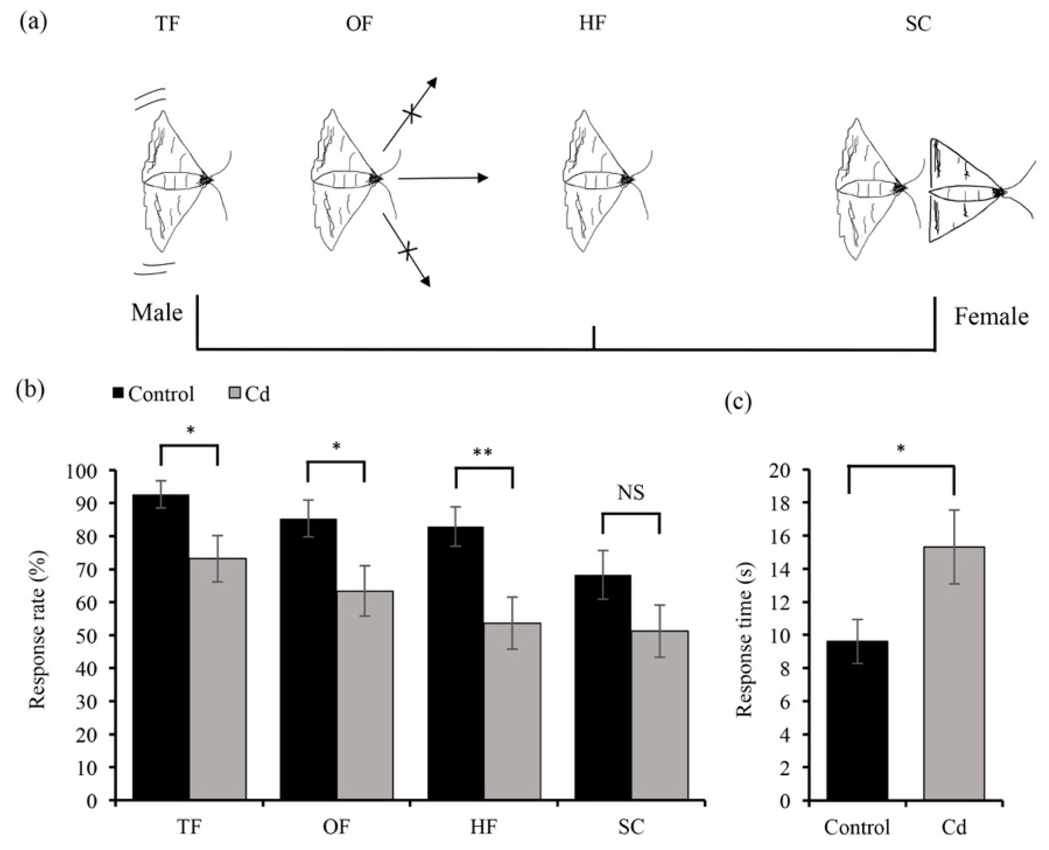 Insects 11 00007 g003