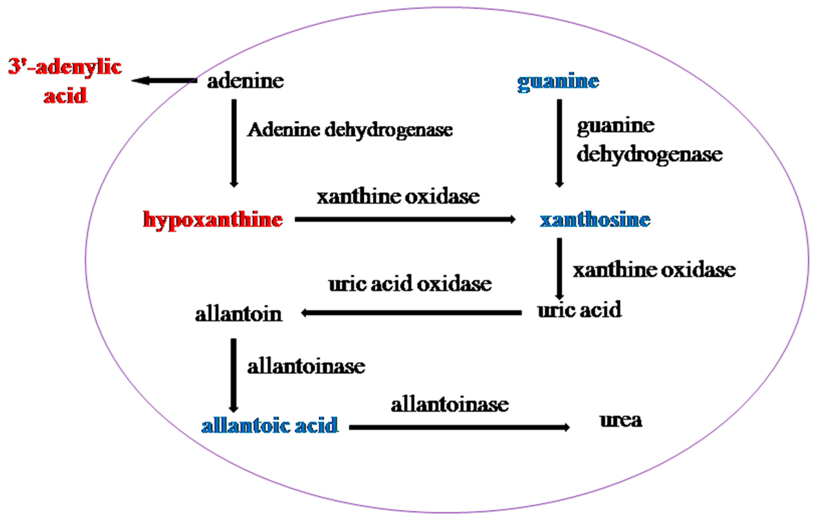 Insects 11 00017 g006
