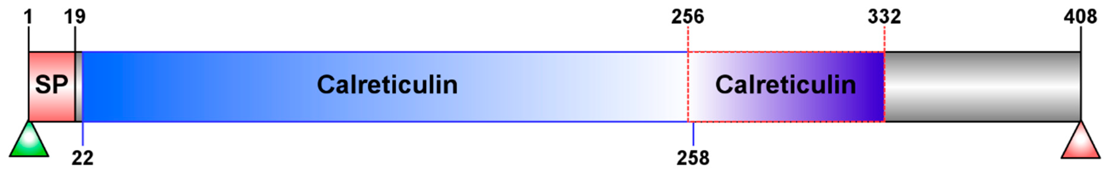 Insects 11 00029 g001