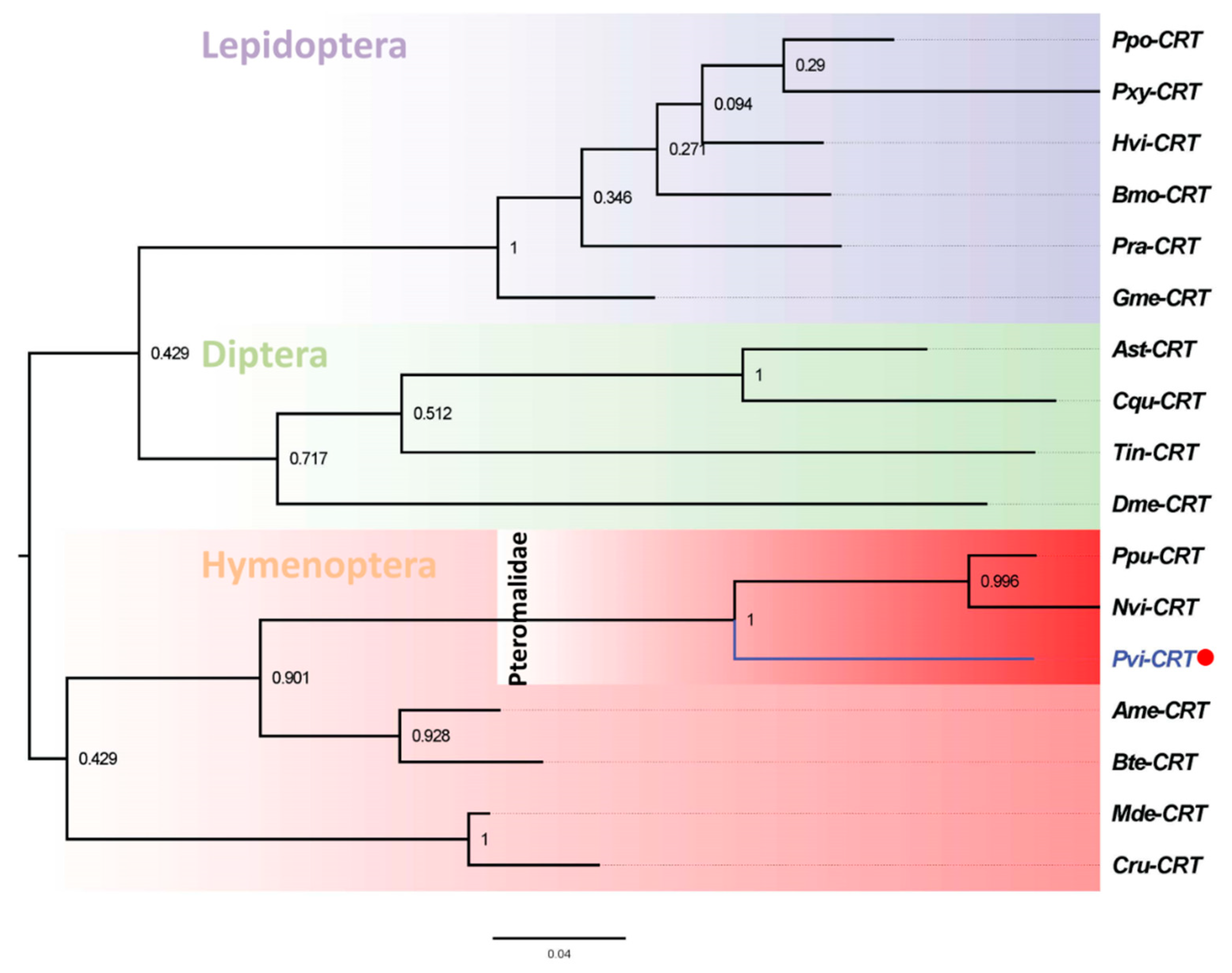 Insects 11 00029 g003