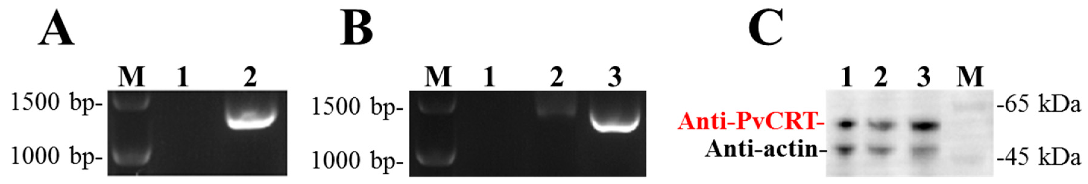 Insects 11 00029 g006