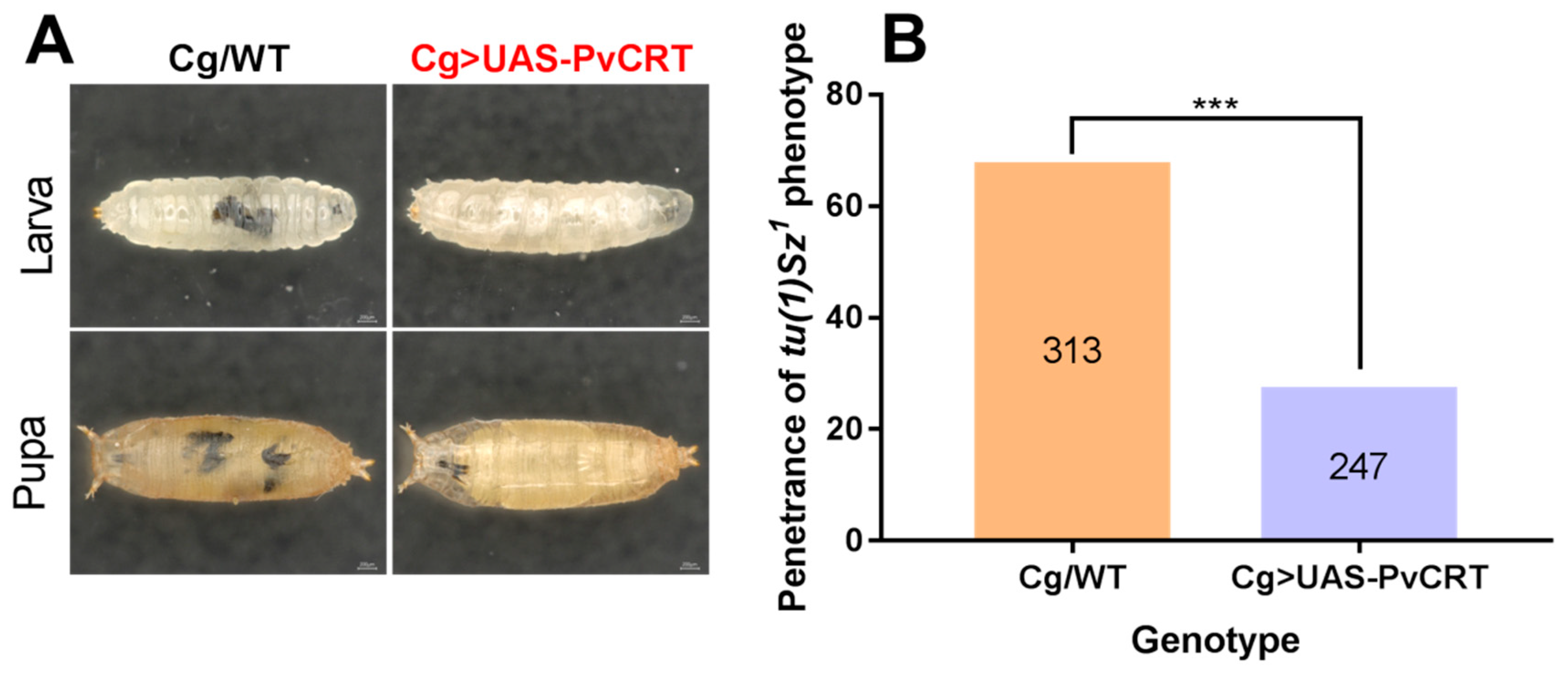Insects 11 00029 g007