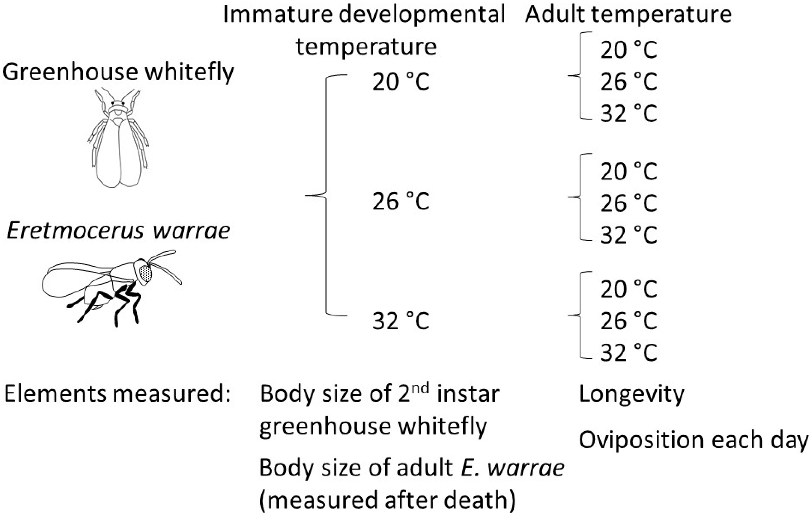Insects 11 00039 g001