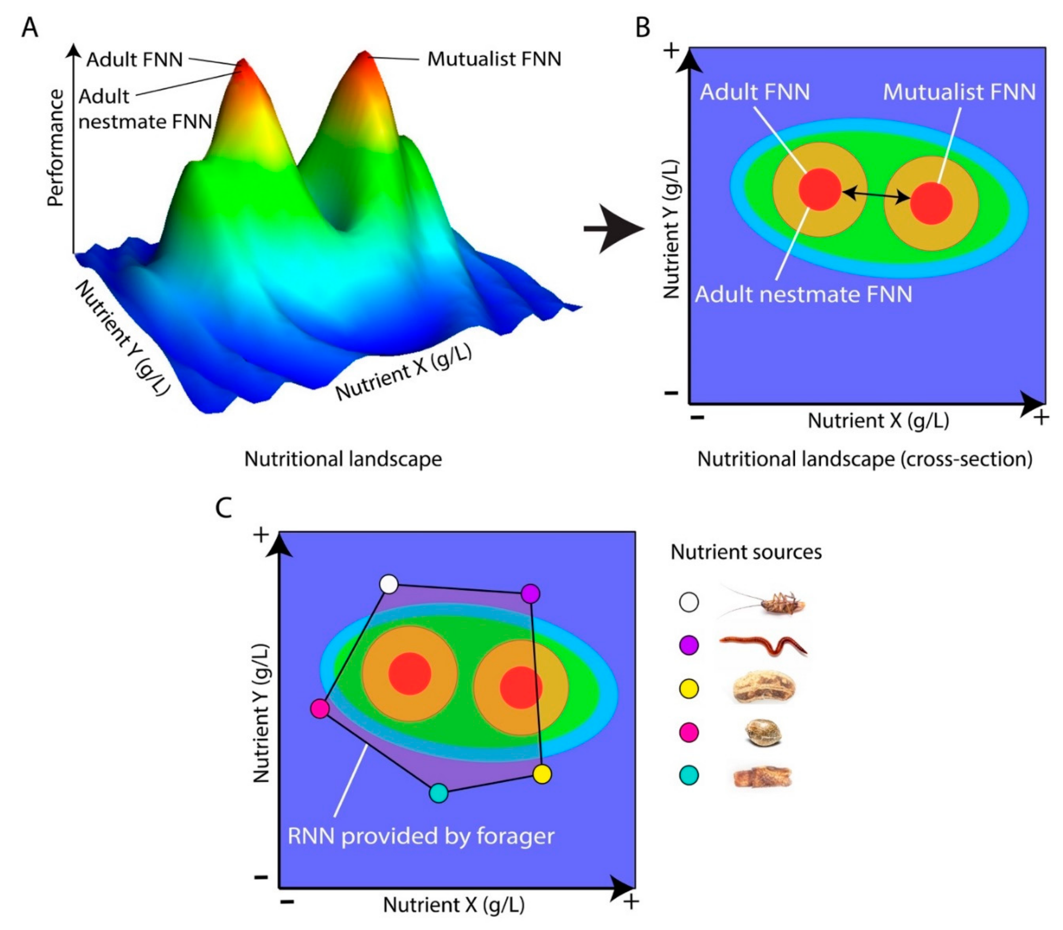 Insects 11 00053 g003