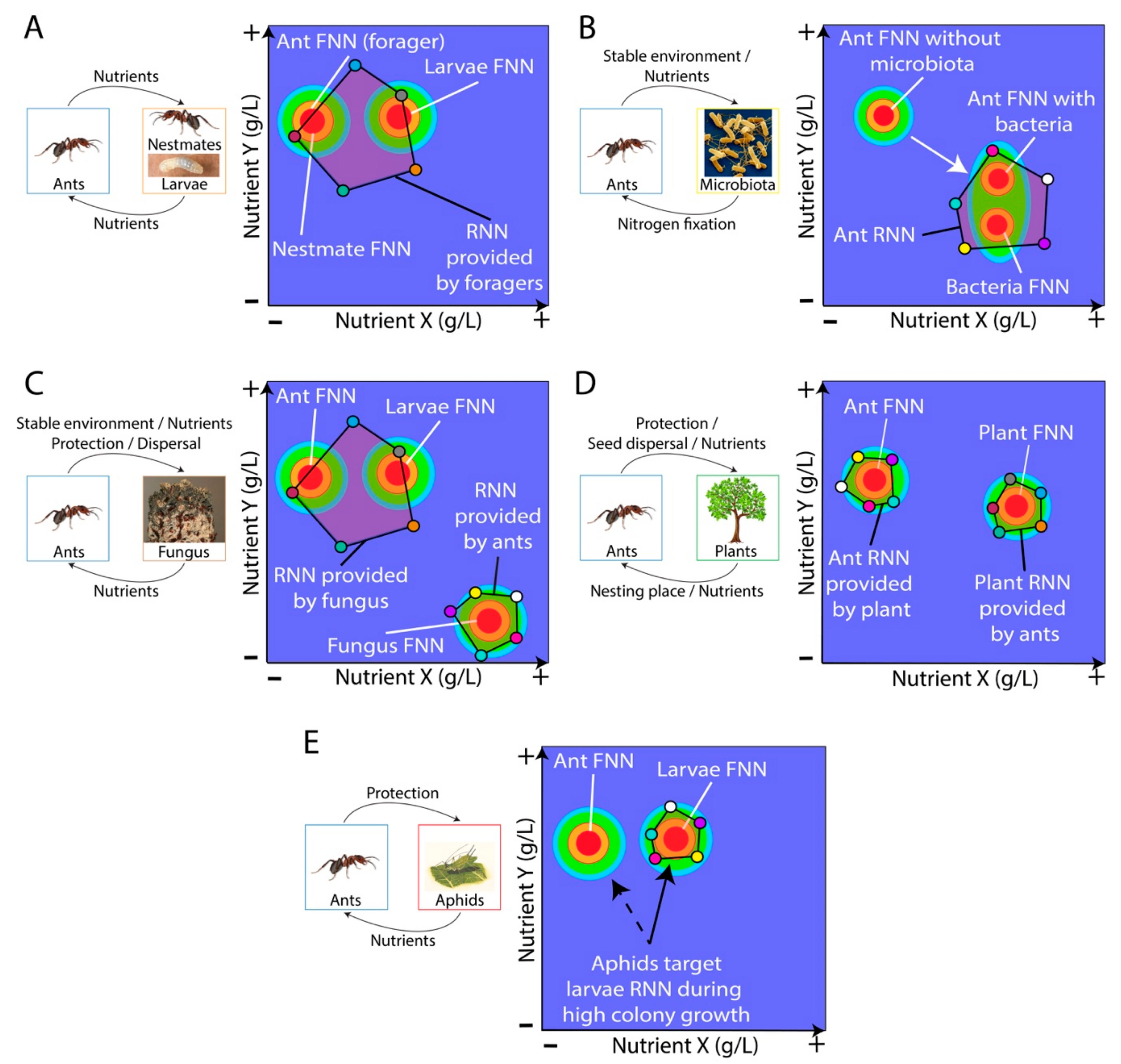 Insects 11 00053 g004