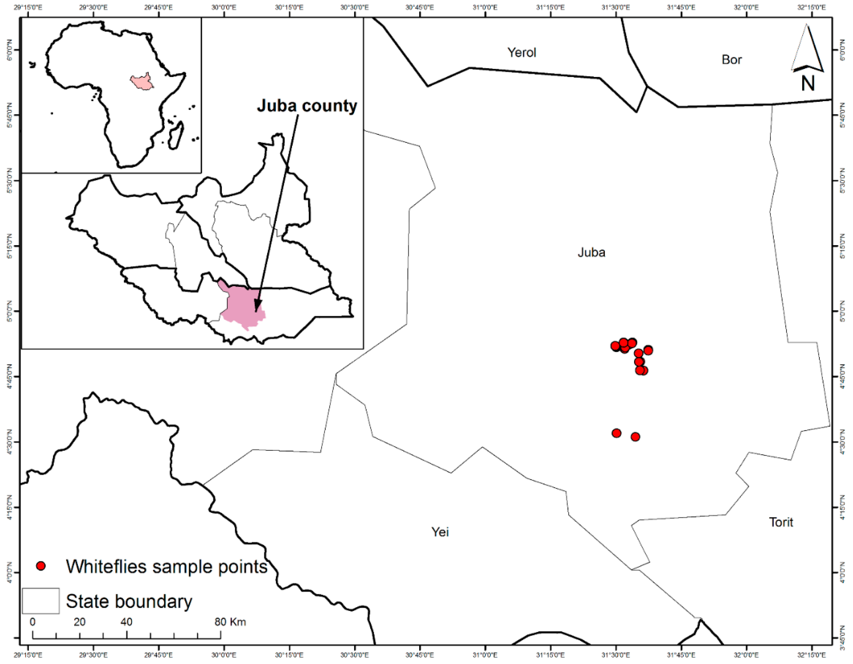 Insects 11 00058 g001