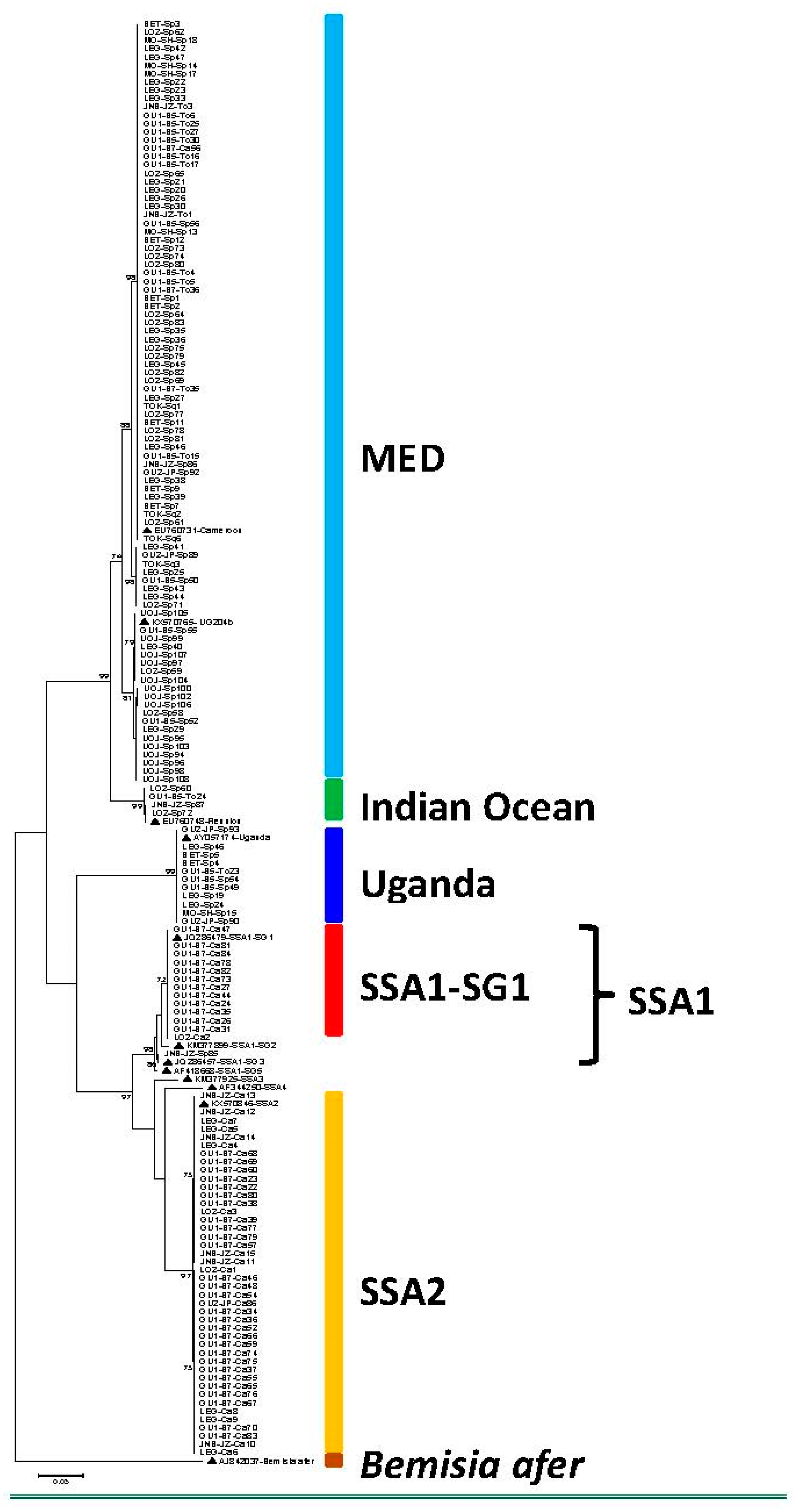 Insects 11 00058 g002