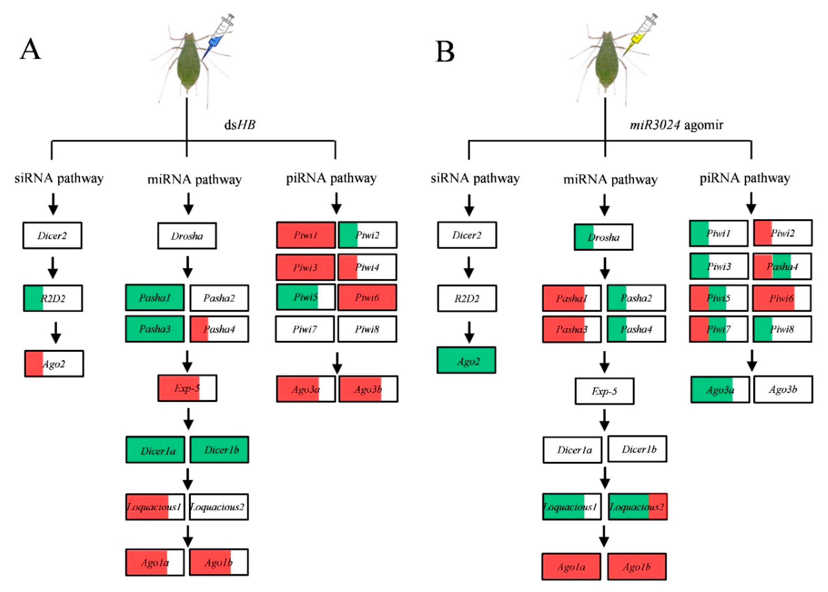Insects 11 00070 g005 Insects 11 00070 g005