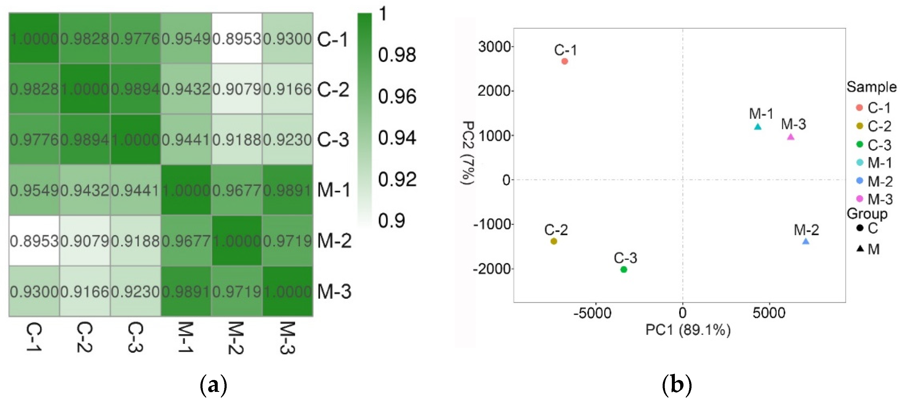 Insects 11 00071 g001