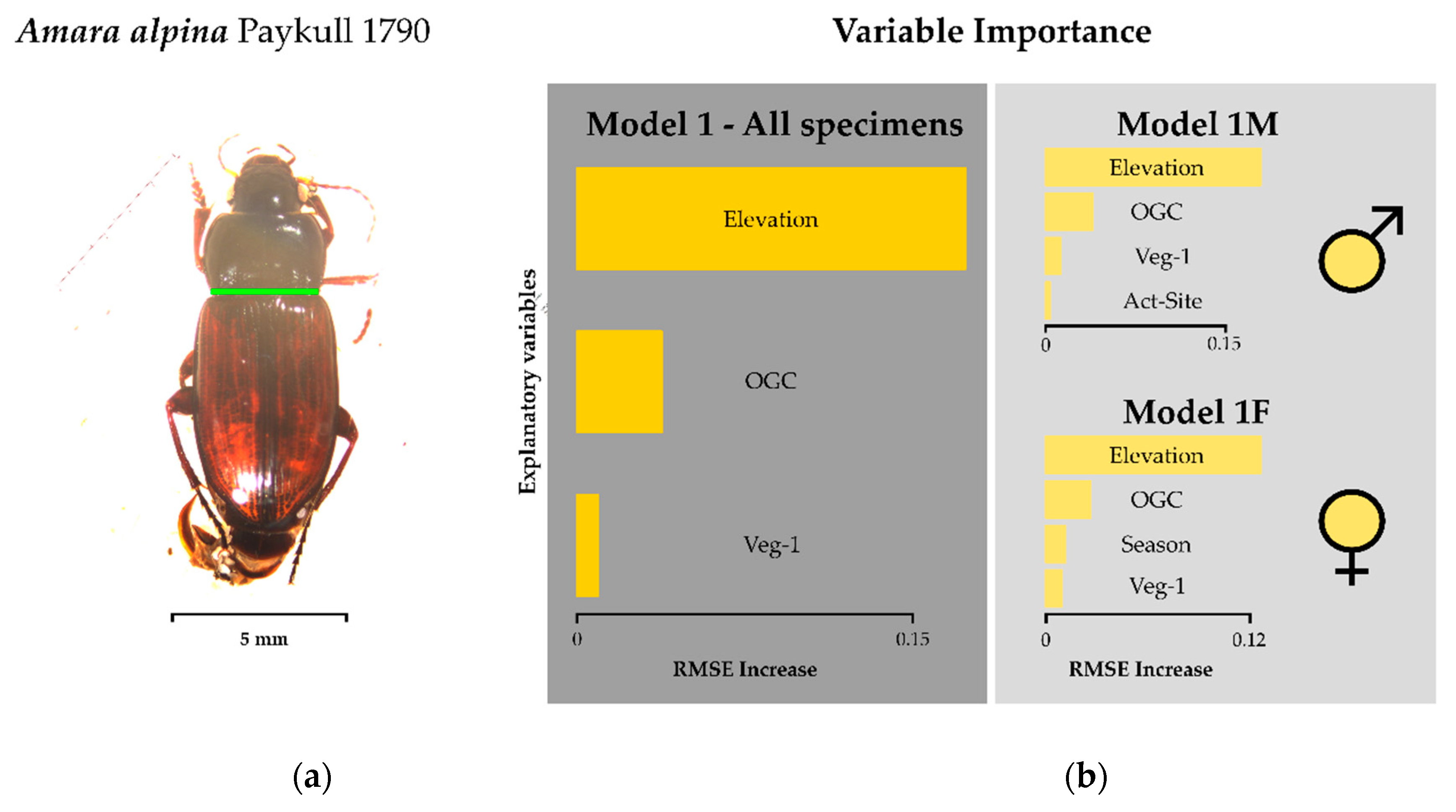 Insects 11 00074 g002