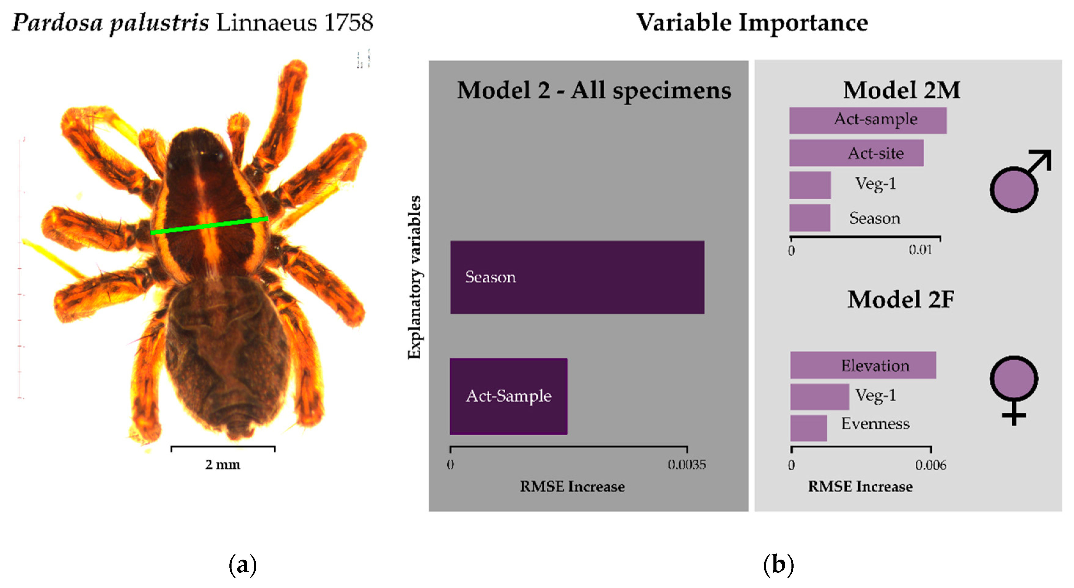 Insects 11 00074 g003