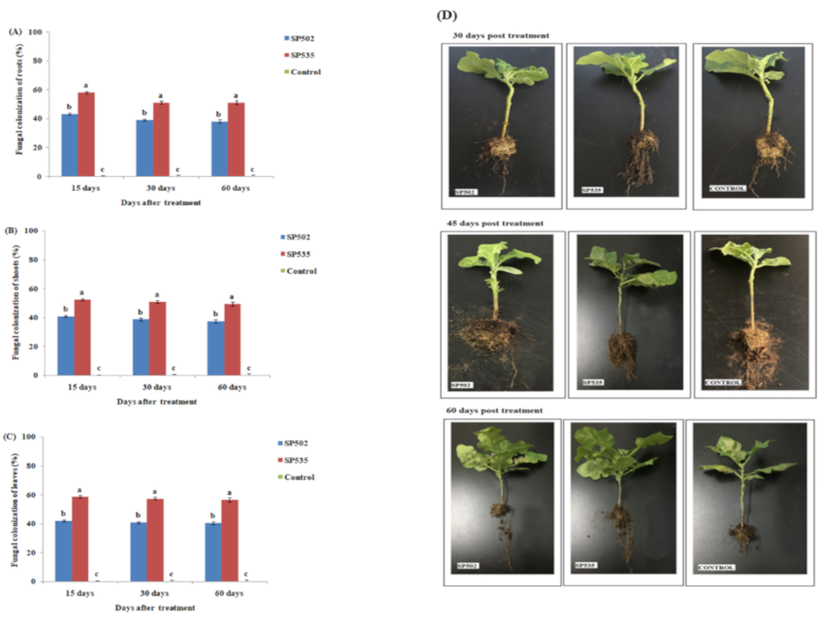Insects 11 00078 g002