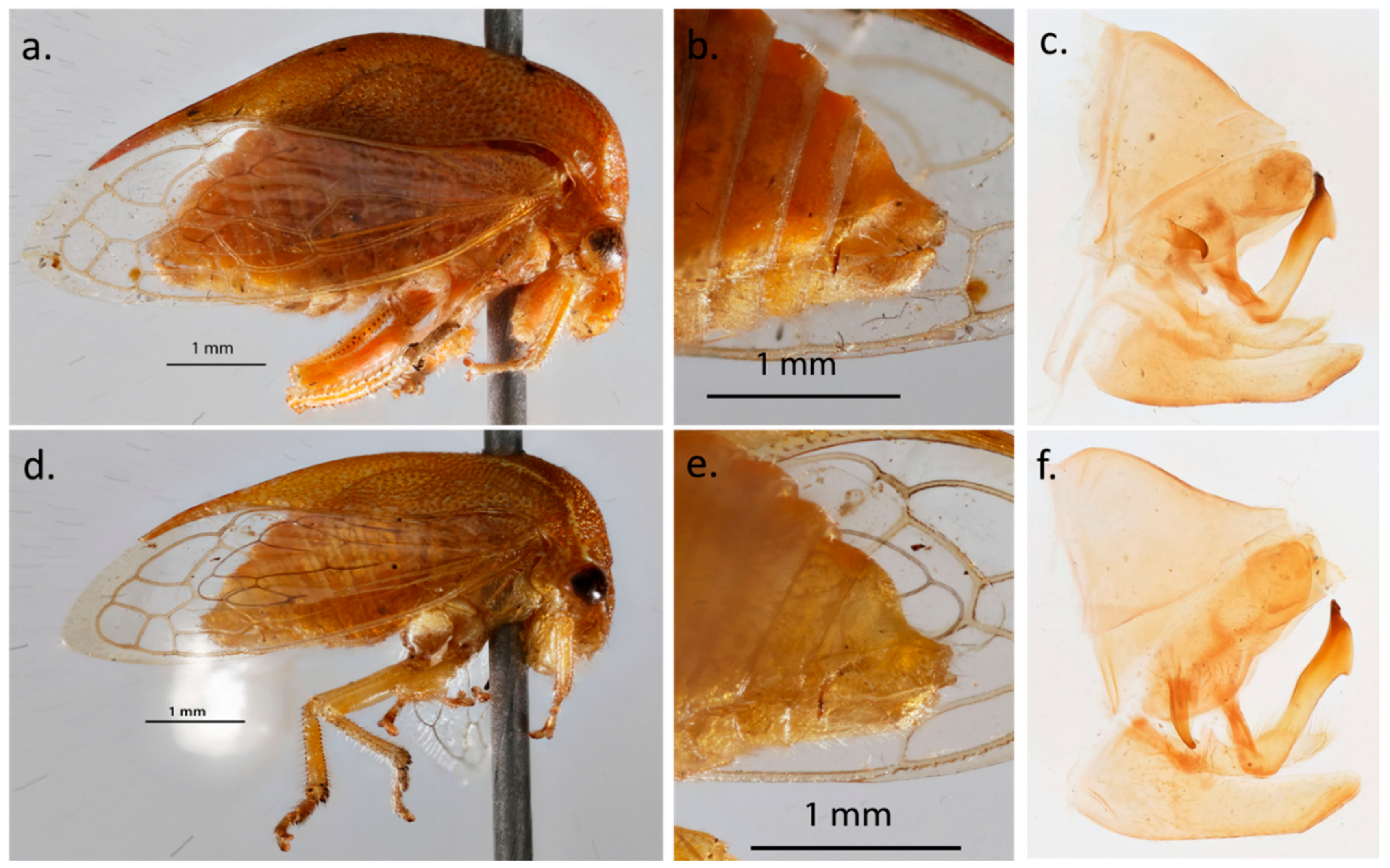 Insects 11 00080 g003