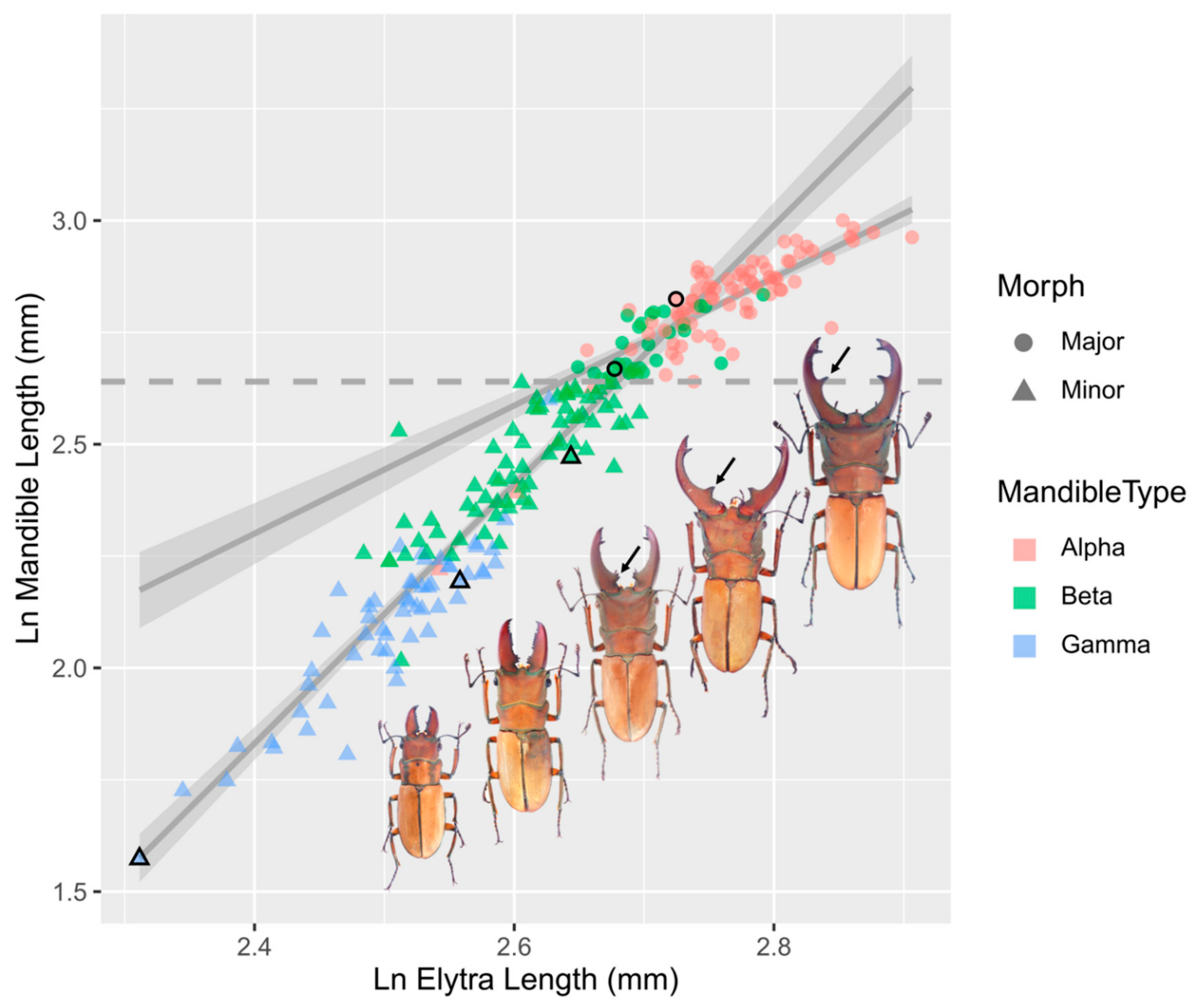 Insects 11 00081 g001