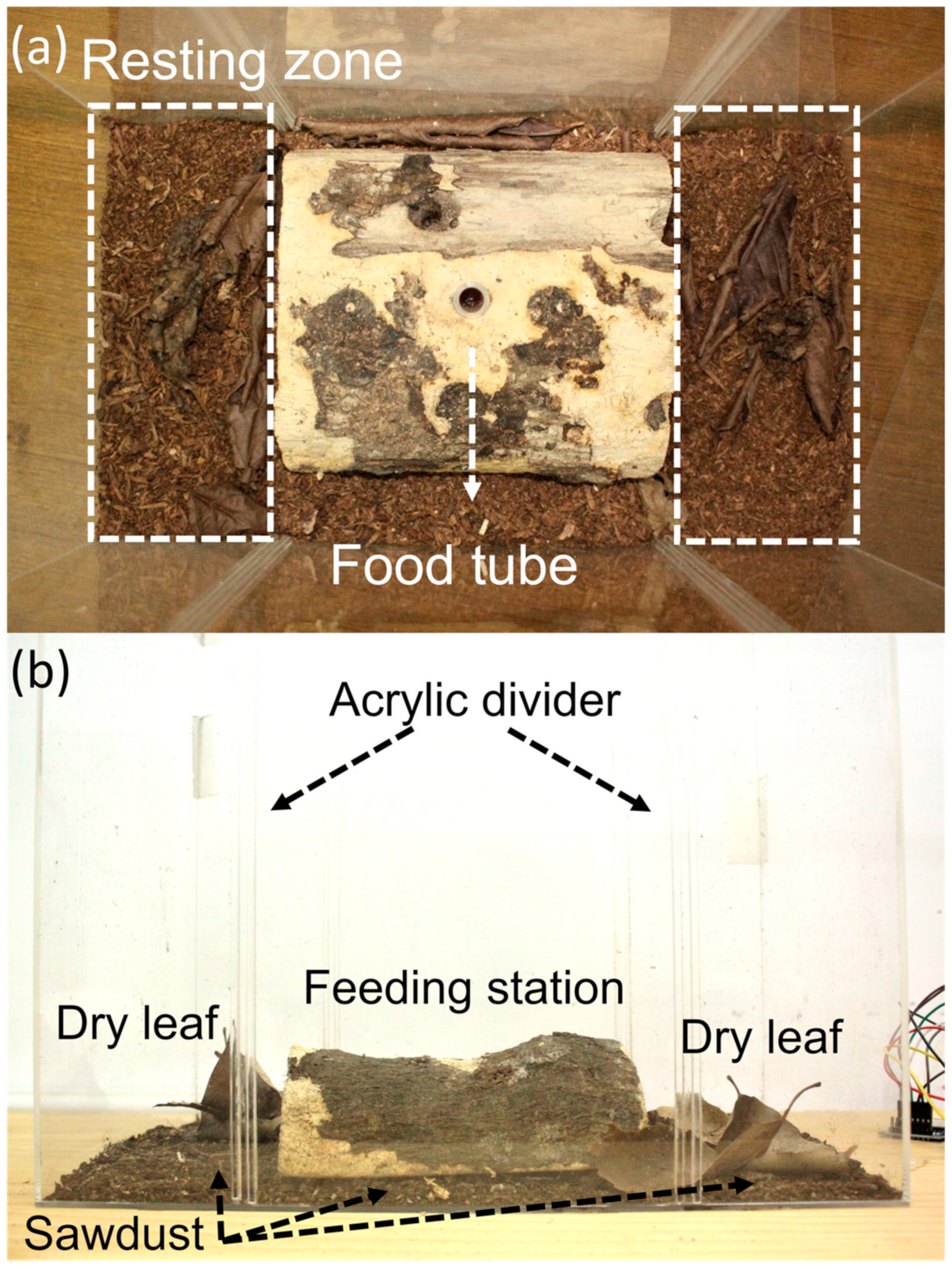 Insects 11 00081 g002